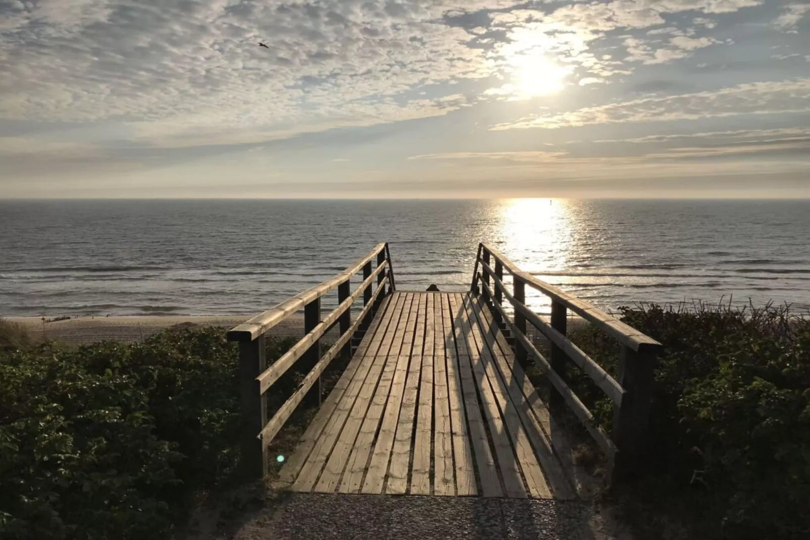 393055-Areas within 5km in summer