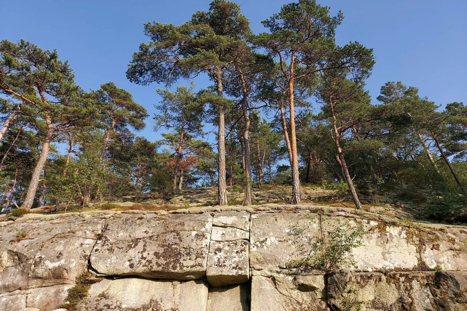 4 etoiles maison de vacances a tånumshede-By Traum - Non tagué