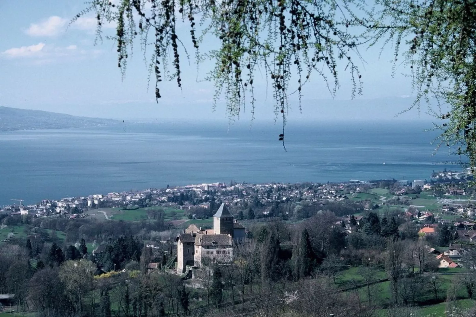 194679-Außenbereich Sommer