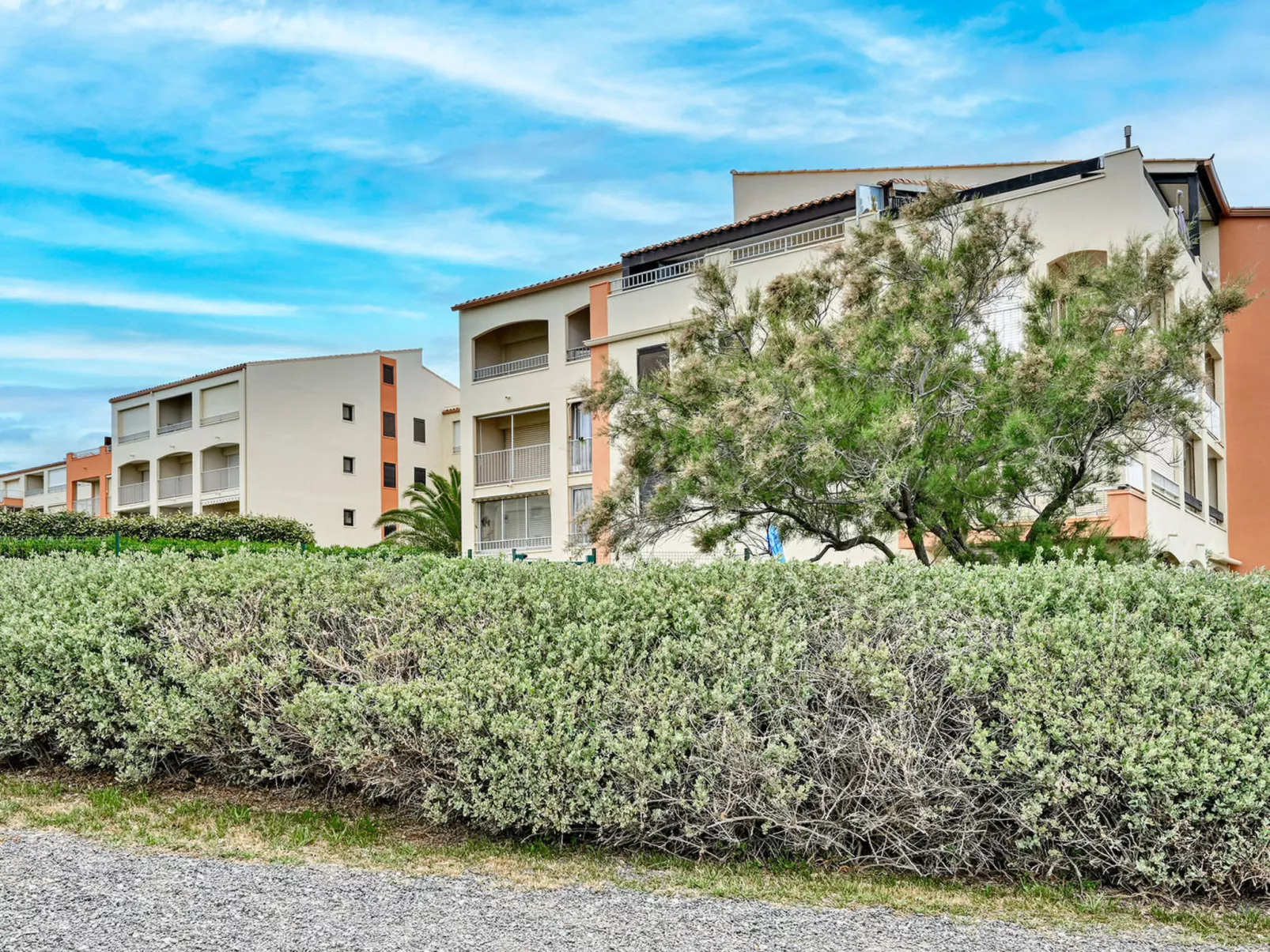 Les Indes Galantes E-Dehors