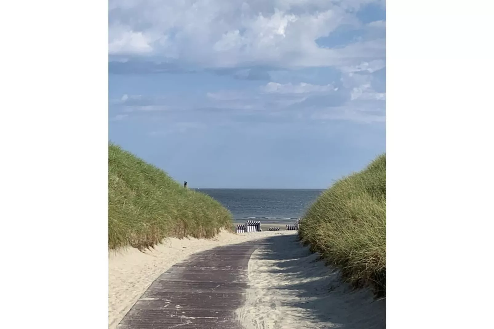 479985 - Areas within 5km in summer