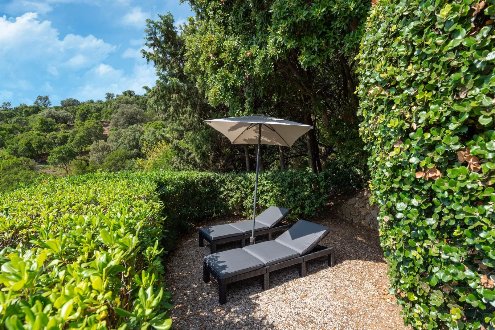Le Mazet Elly & Julian-Gardens summer