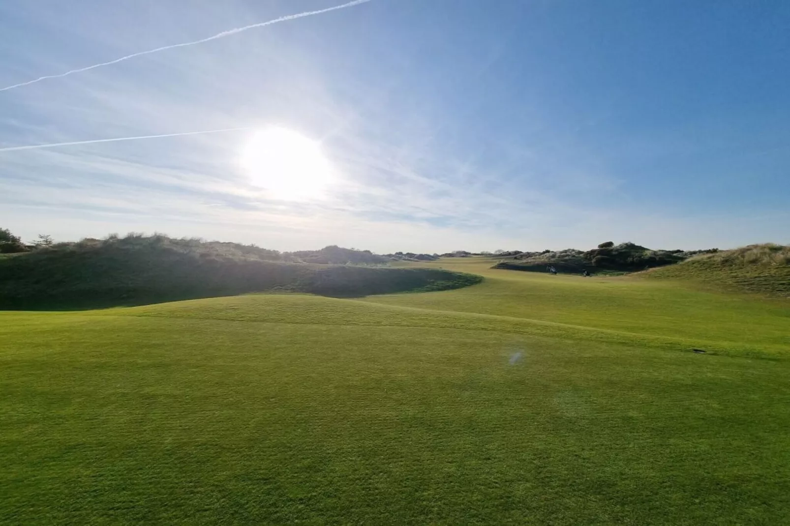 411894-Gardens in summer