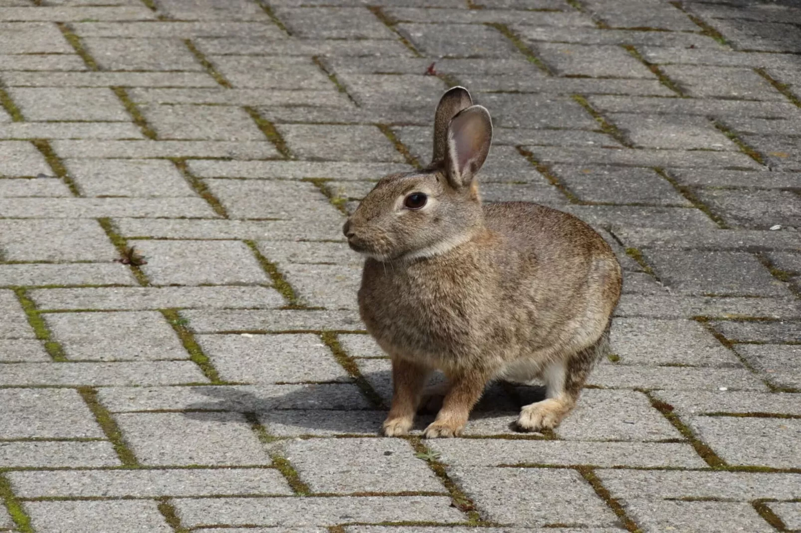 220874-Außenbereich Sommer