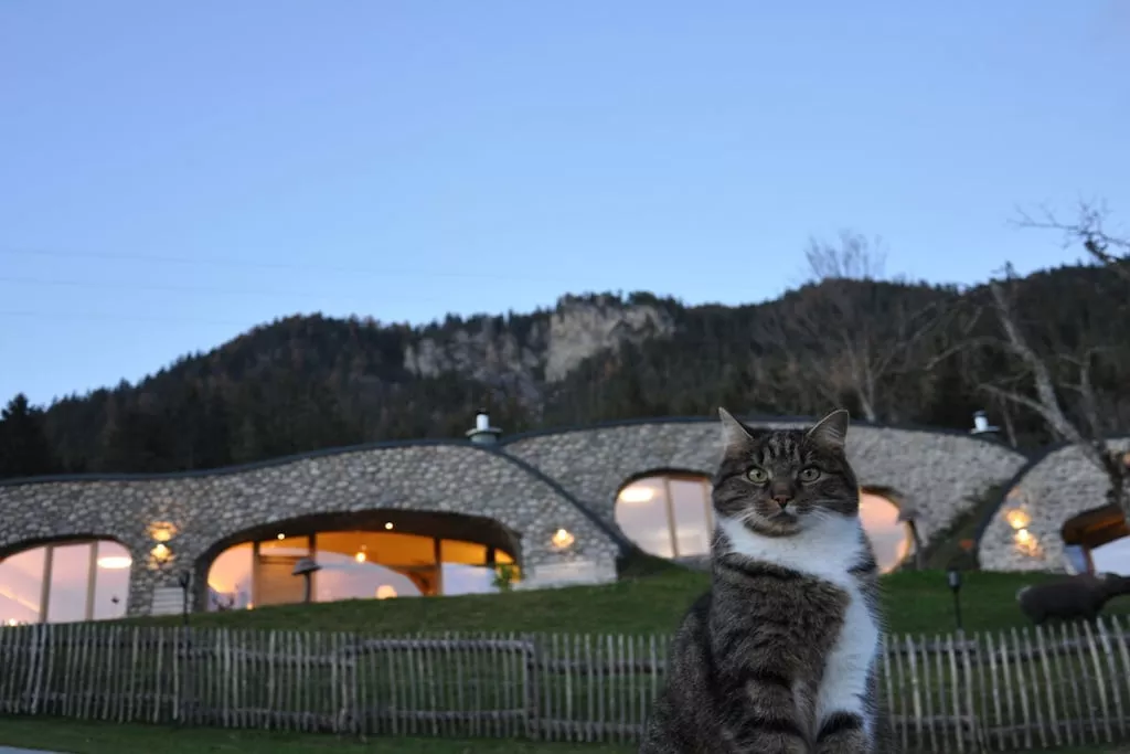 626775-Nicht zugeordnet