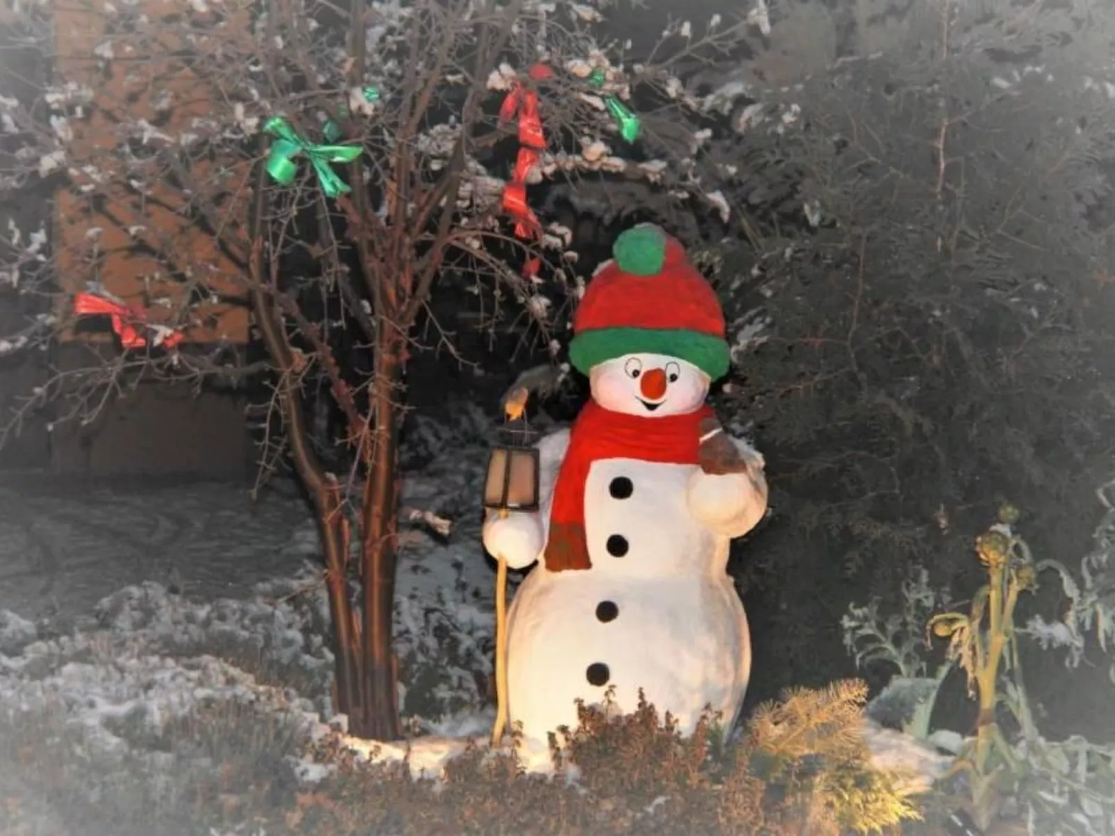 Mit Fasssauna-Dehors