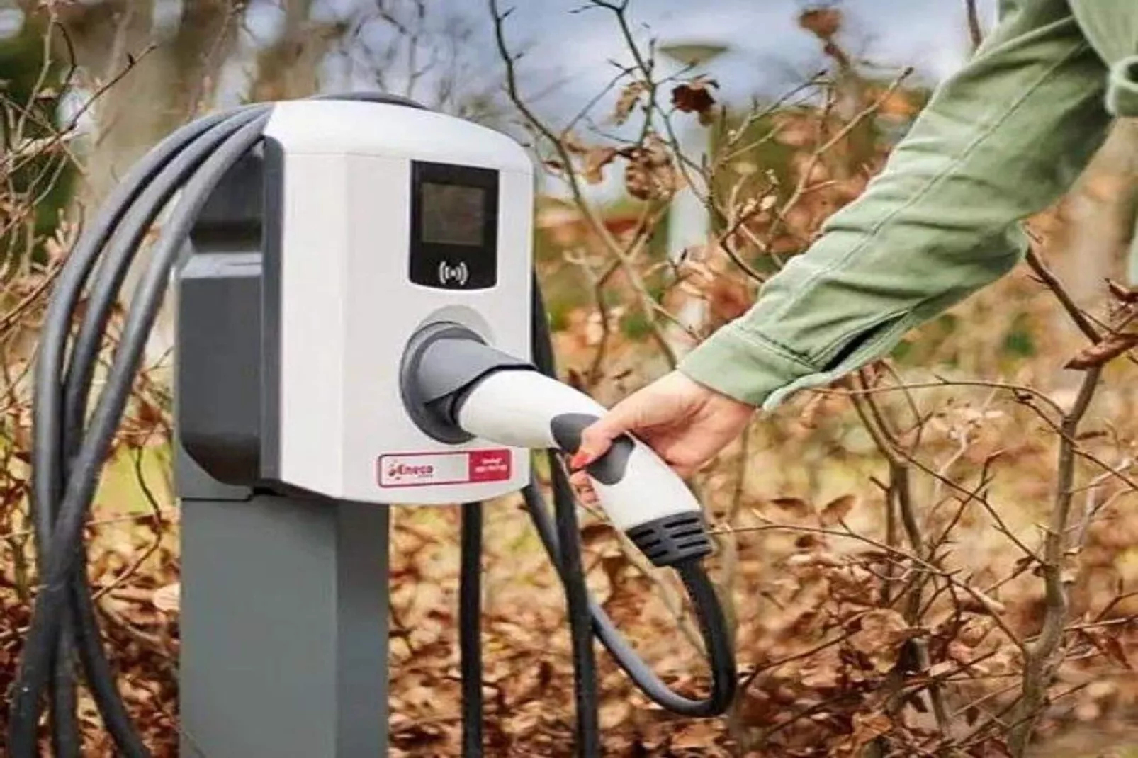 Beach Lodges-Park facilities