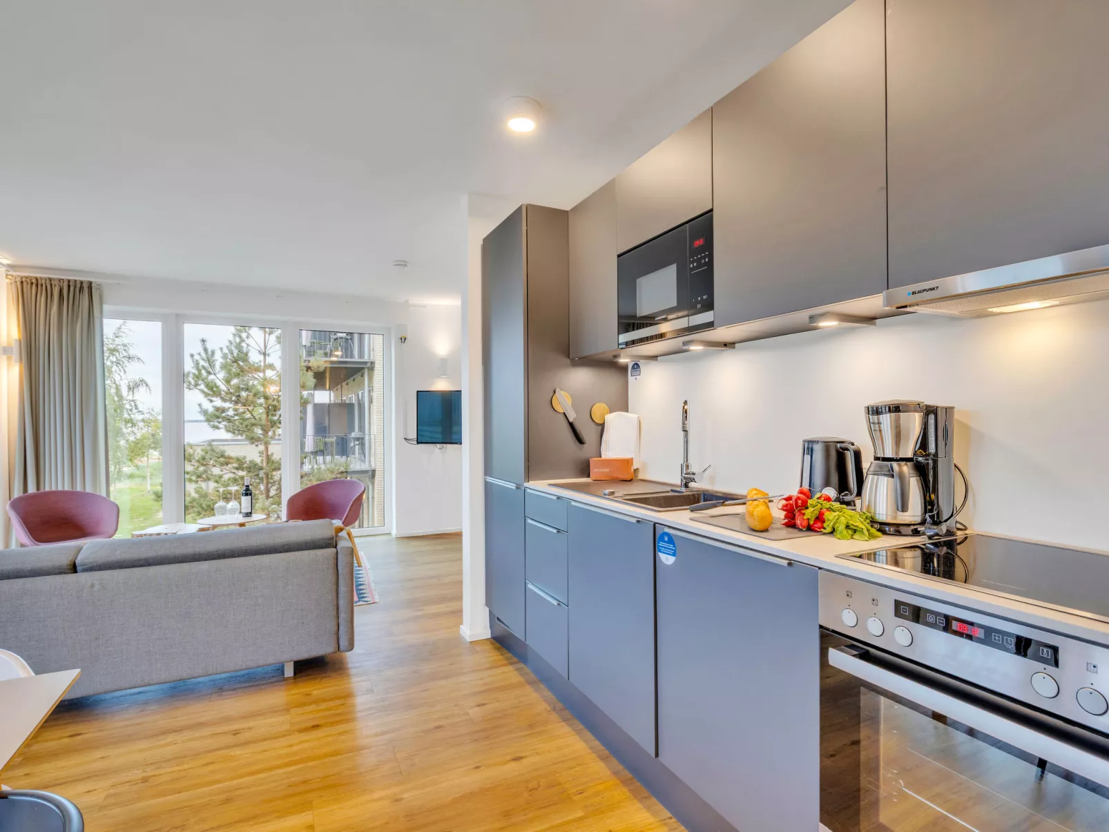 Penthouse Dümmerblick - Dedans