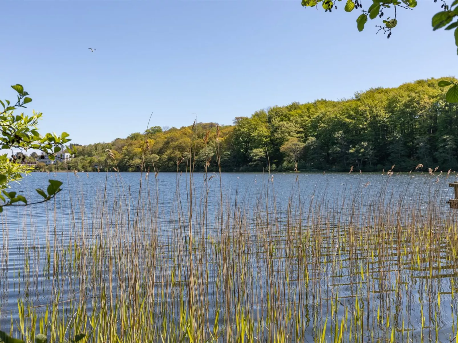 "Karlotta" - 500m from the sea - Draußen