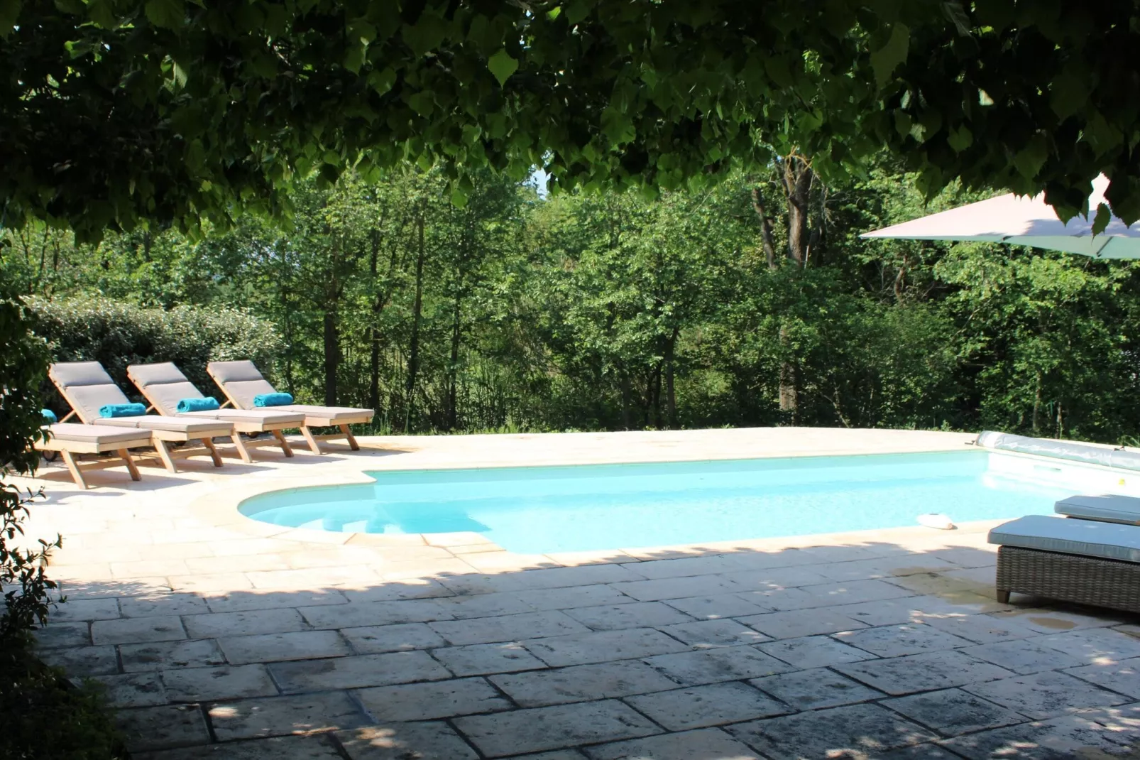Villa La Mayanne-Pool