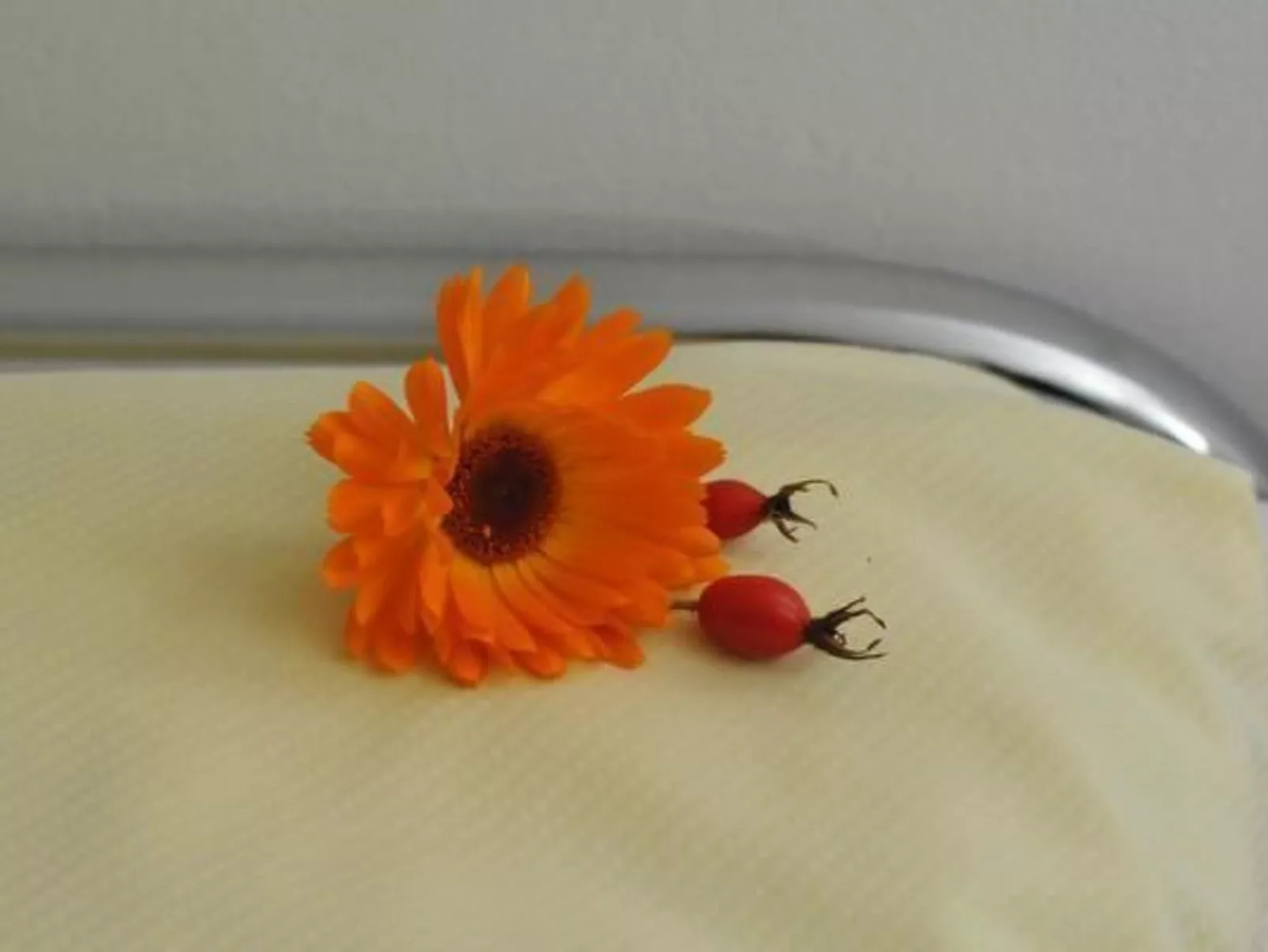 Residenz Alpenrose25 - Image-tags.info