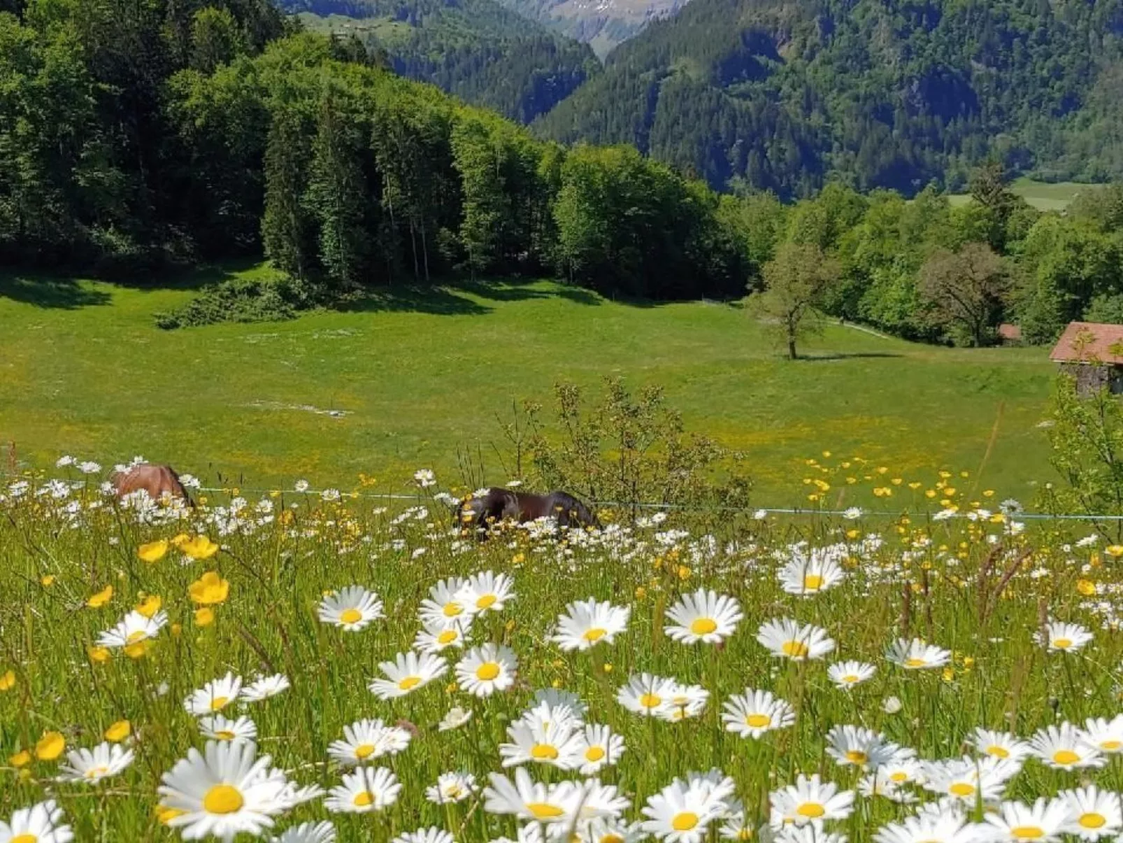 Wohnung Mit 2 Schlafzimmern “Ürbach” - Image-tags.info