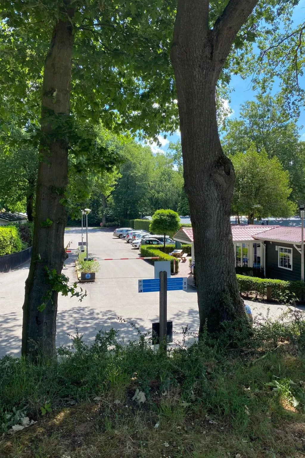 Ferien in Wageningen - Dedans