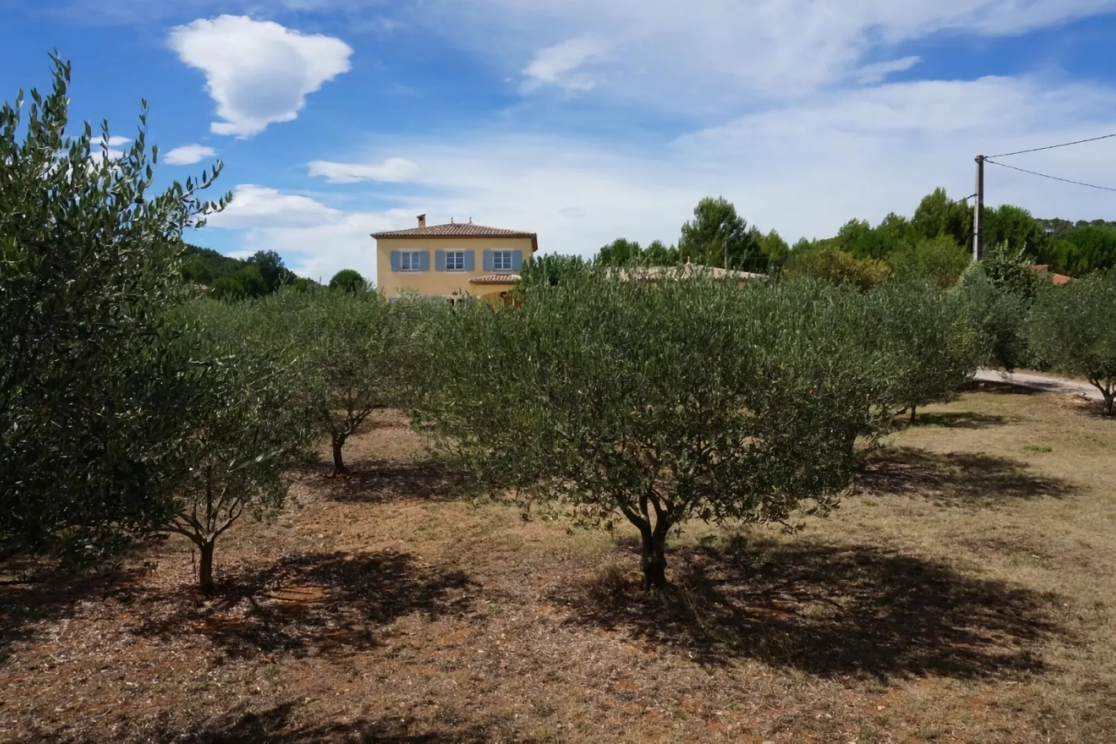 Bastide le Colombier-Gardens summer