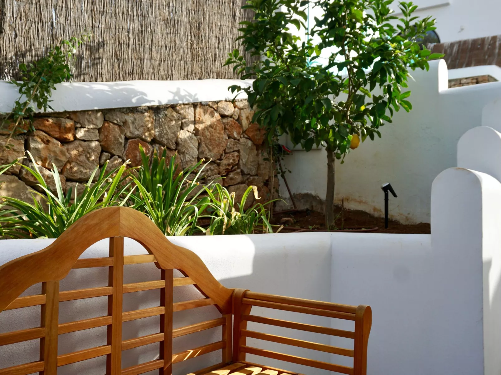 Riviera-Image-tags.info