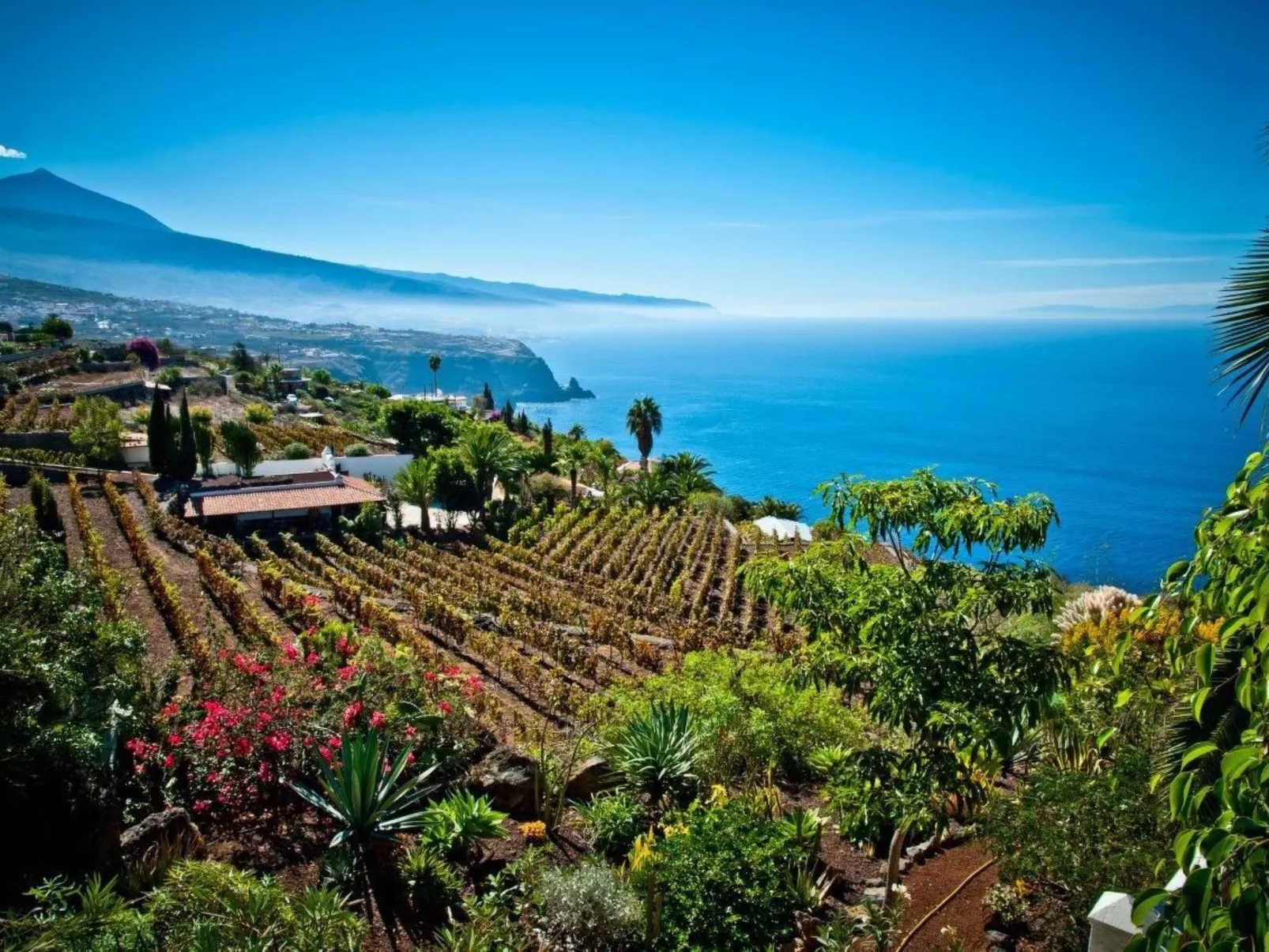 El Refugio - Image-tags.info