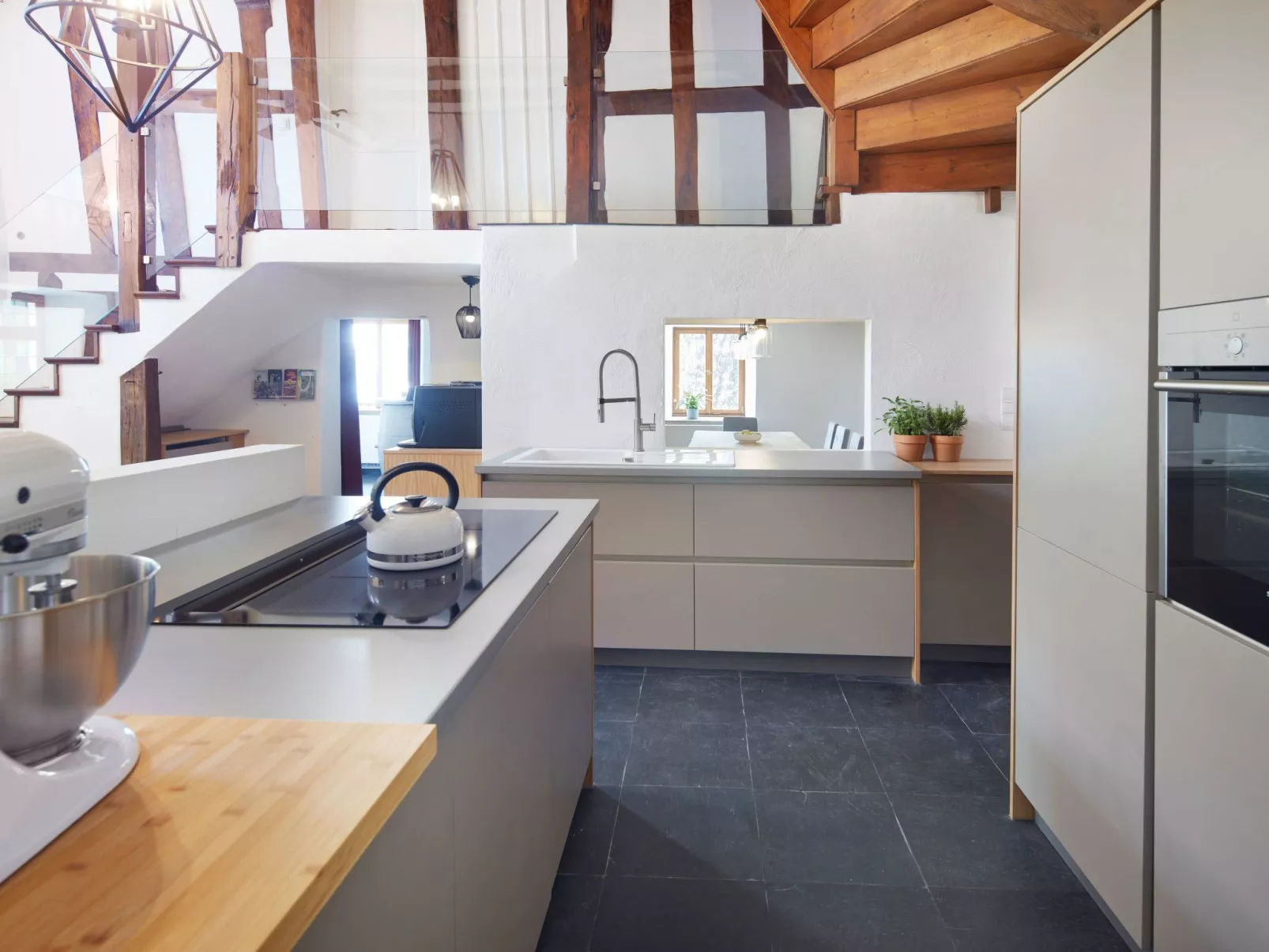 Olive Tree - Image-tags.info