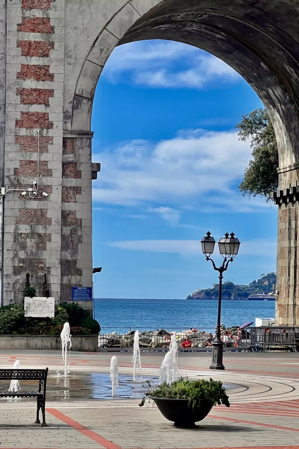 Pitosforo - Image-tags.info