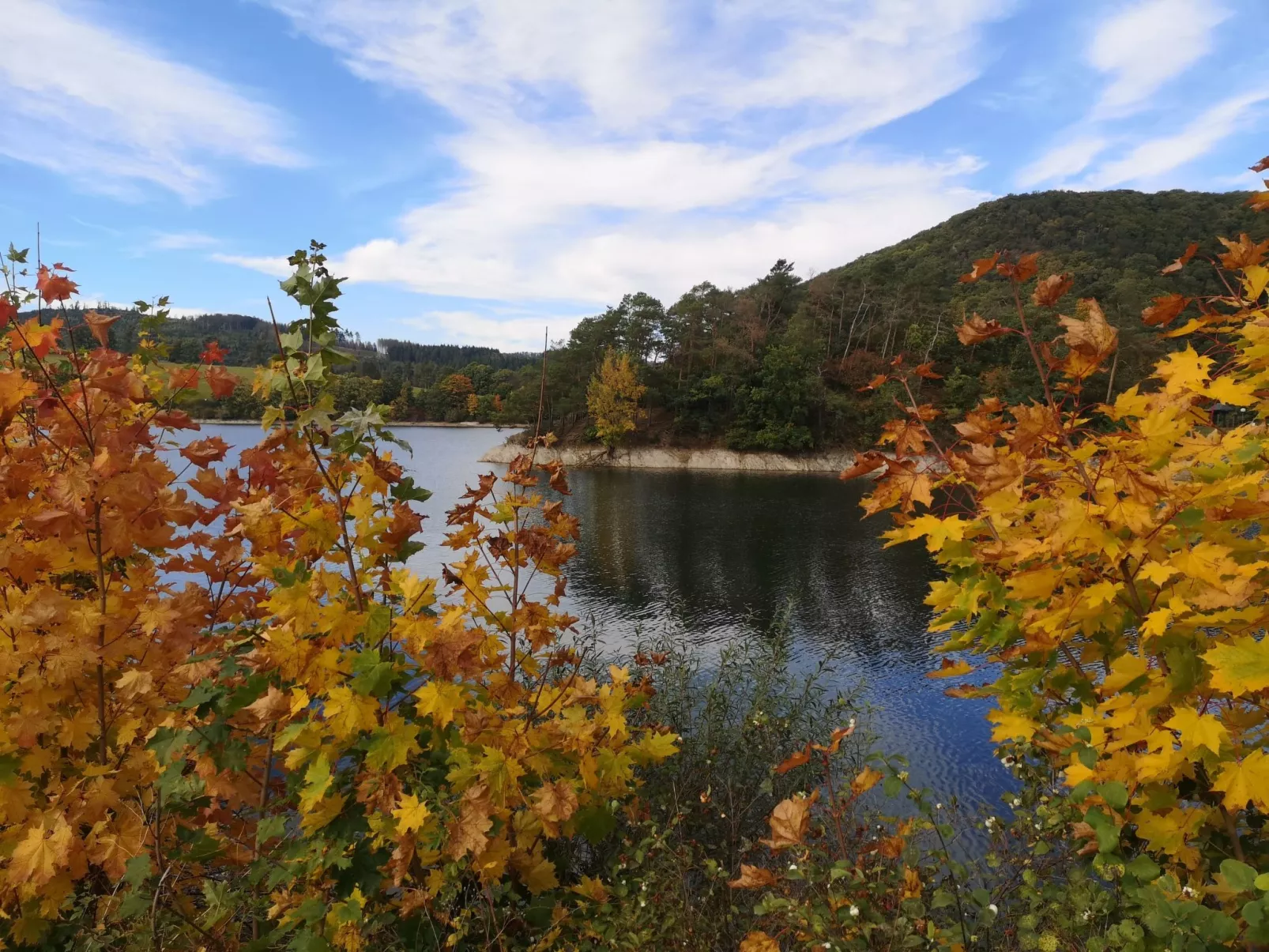 Diemelseeholiday Ferienwohnung im Sauerland - Image-tags.info