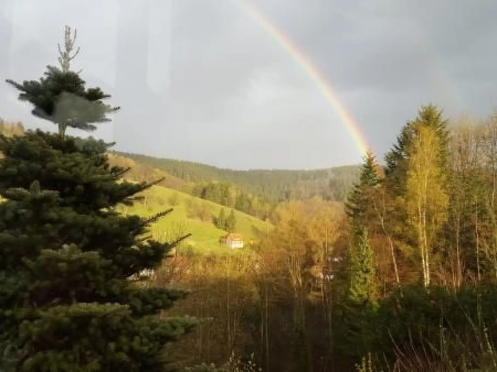 Gemütliche Wohnung in Lerbach mit Terrasse, Garten - Image-tags.info