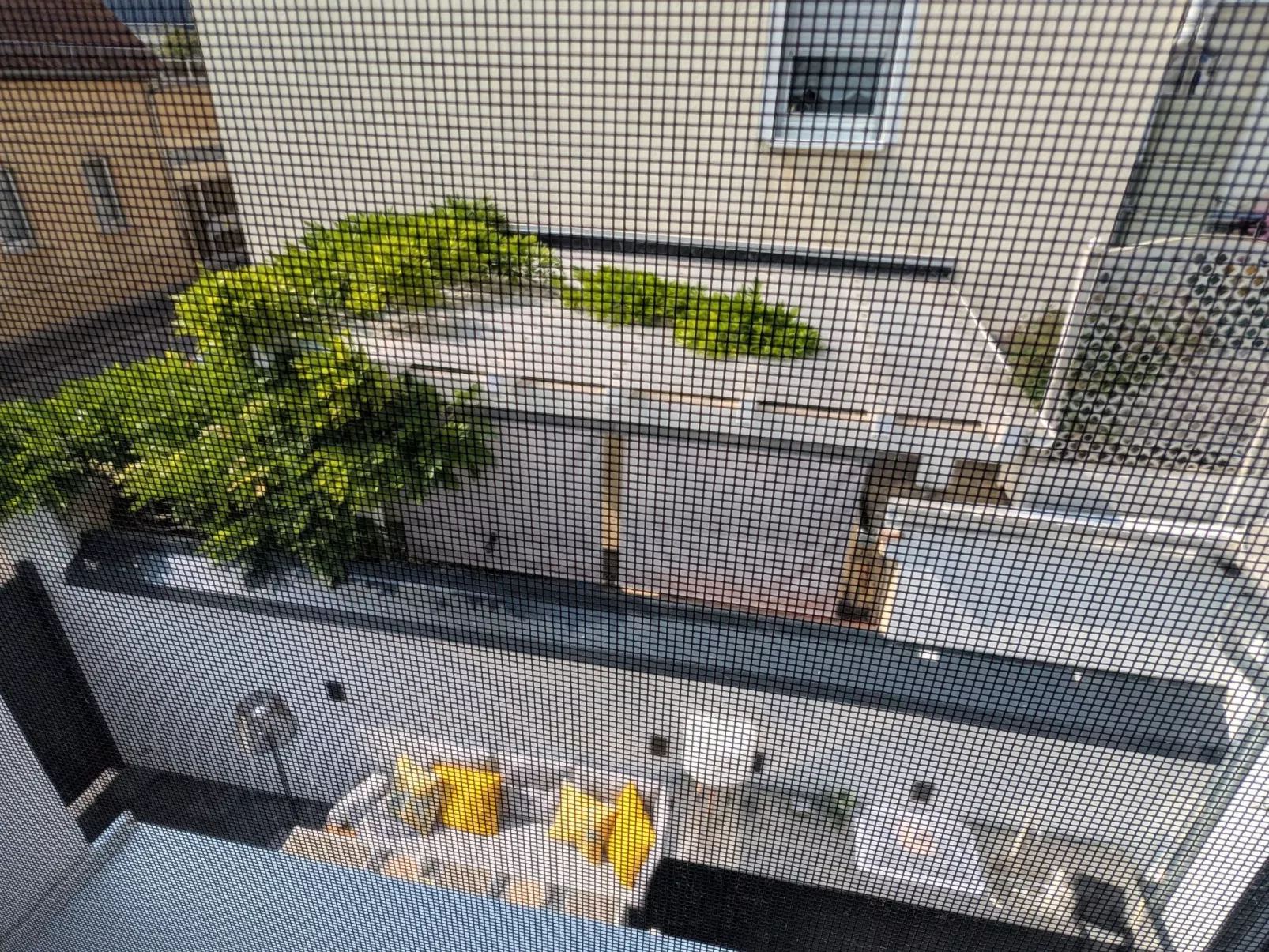 House 756 Mainz - Image-tags.info