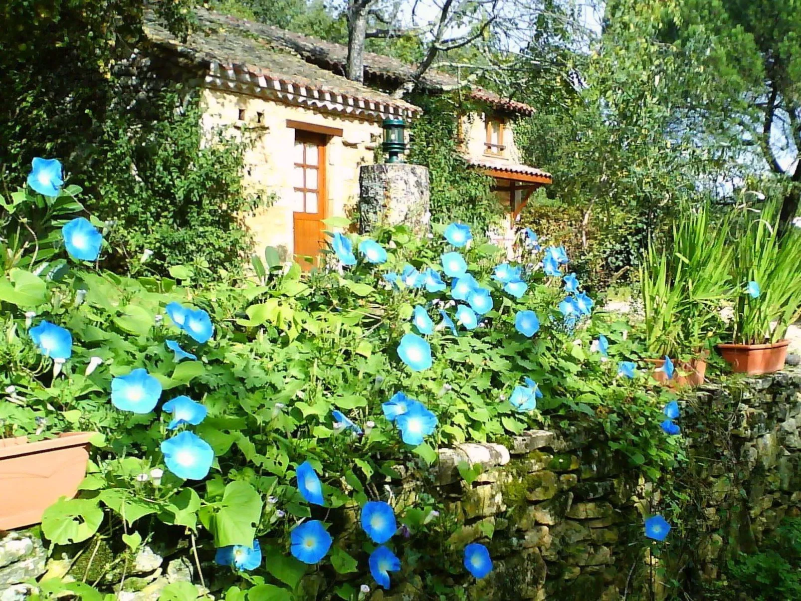 Domaine "Le Fournil" mit Jacuzzi - Dehors