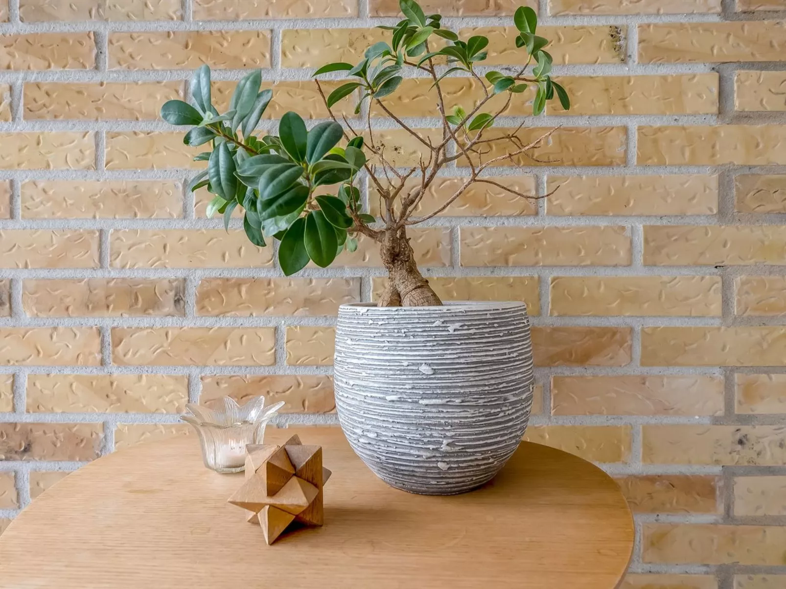 "Ellanora" - 50m from the sea - Drinnen