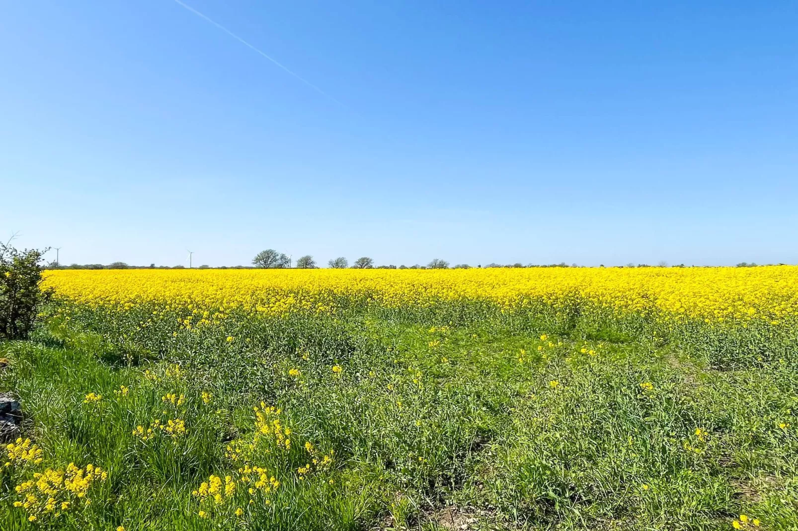 3 person holiday home in Mörbylånga - Untagged