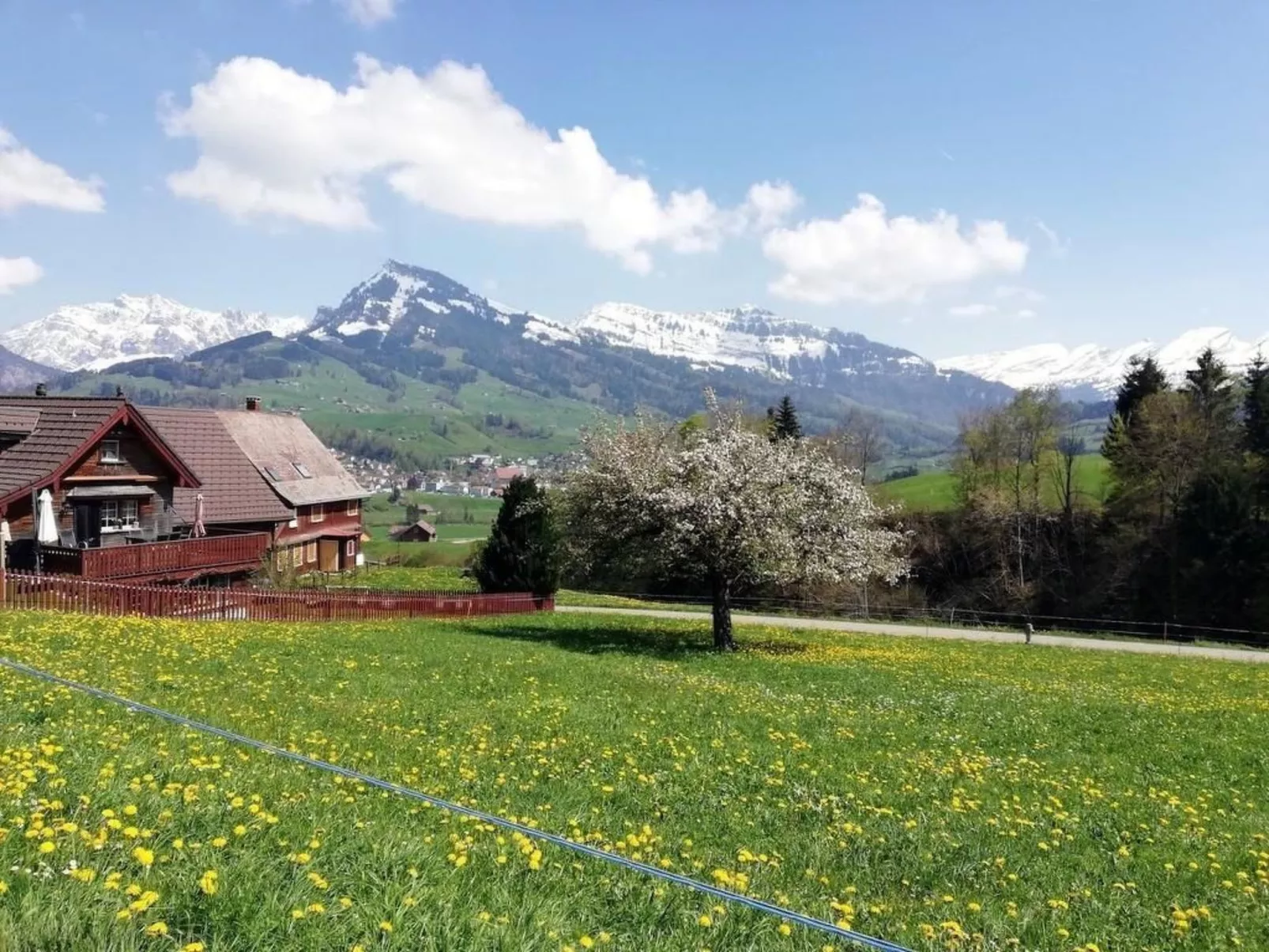 Gemütliche und geräumige Ferienwohnung - Dehors