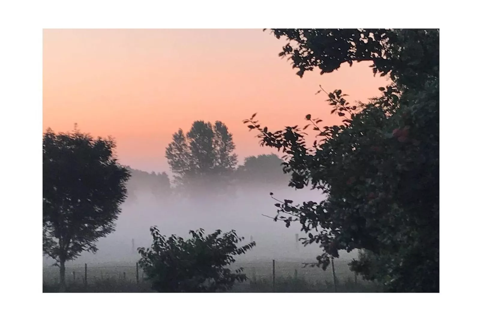 242843-Areas within 5km in summer