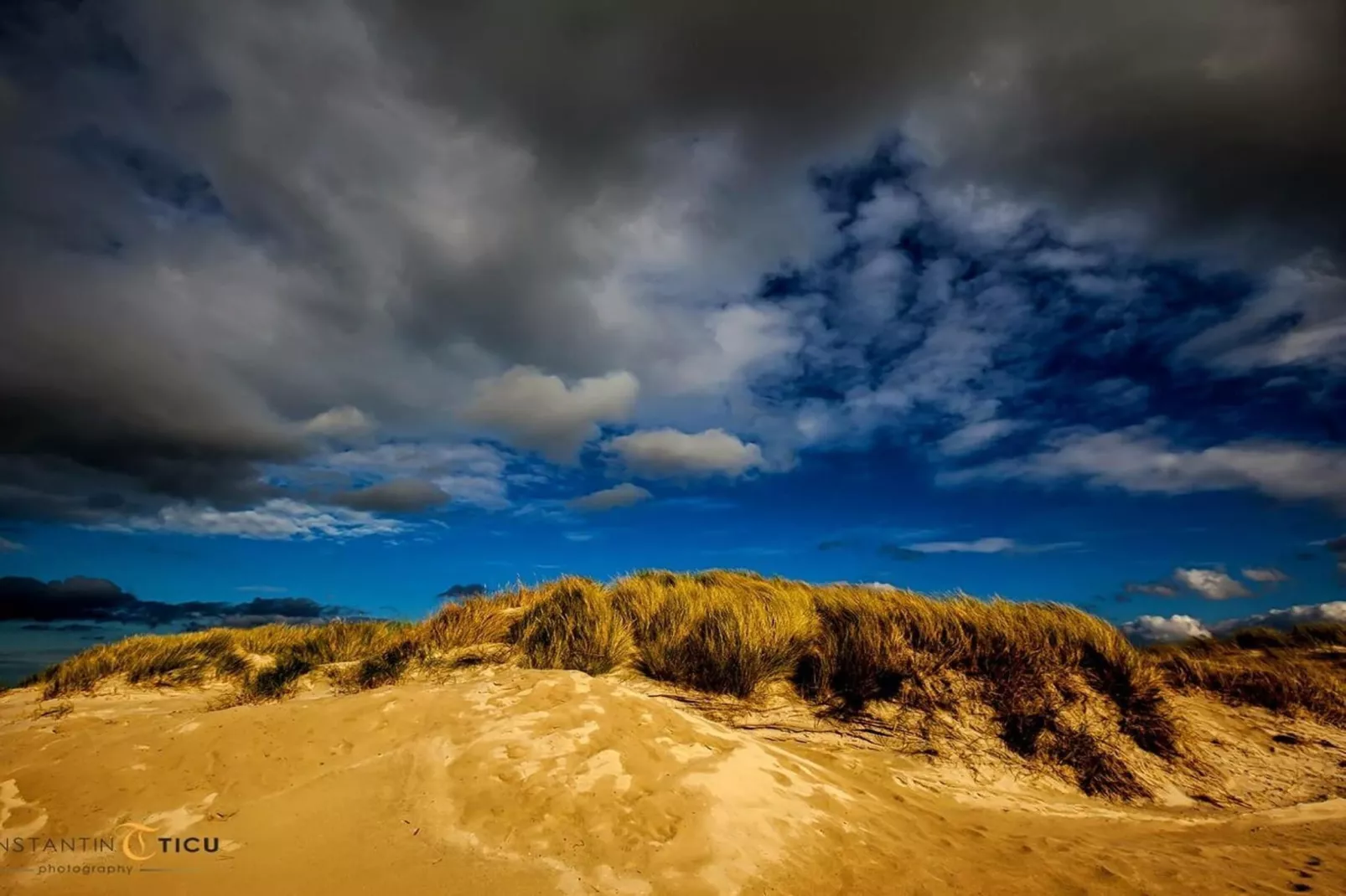 67705-Areas within 5km in summer