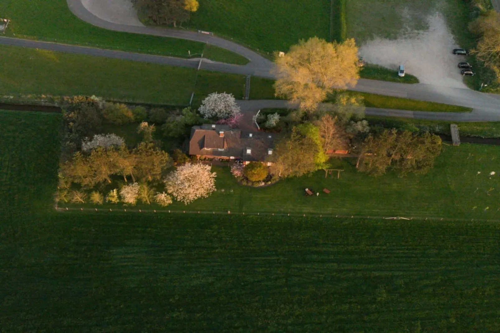 191412-Areas within 1km in summer