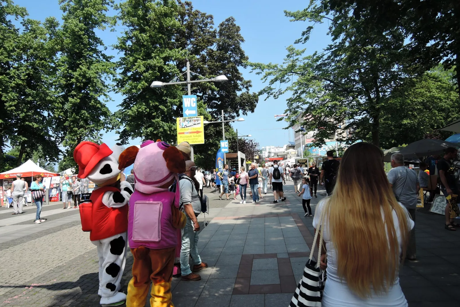 Domki Trebor dla 5 osób-Zones été à 1 km