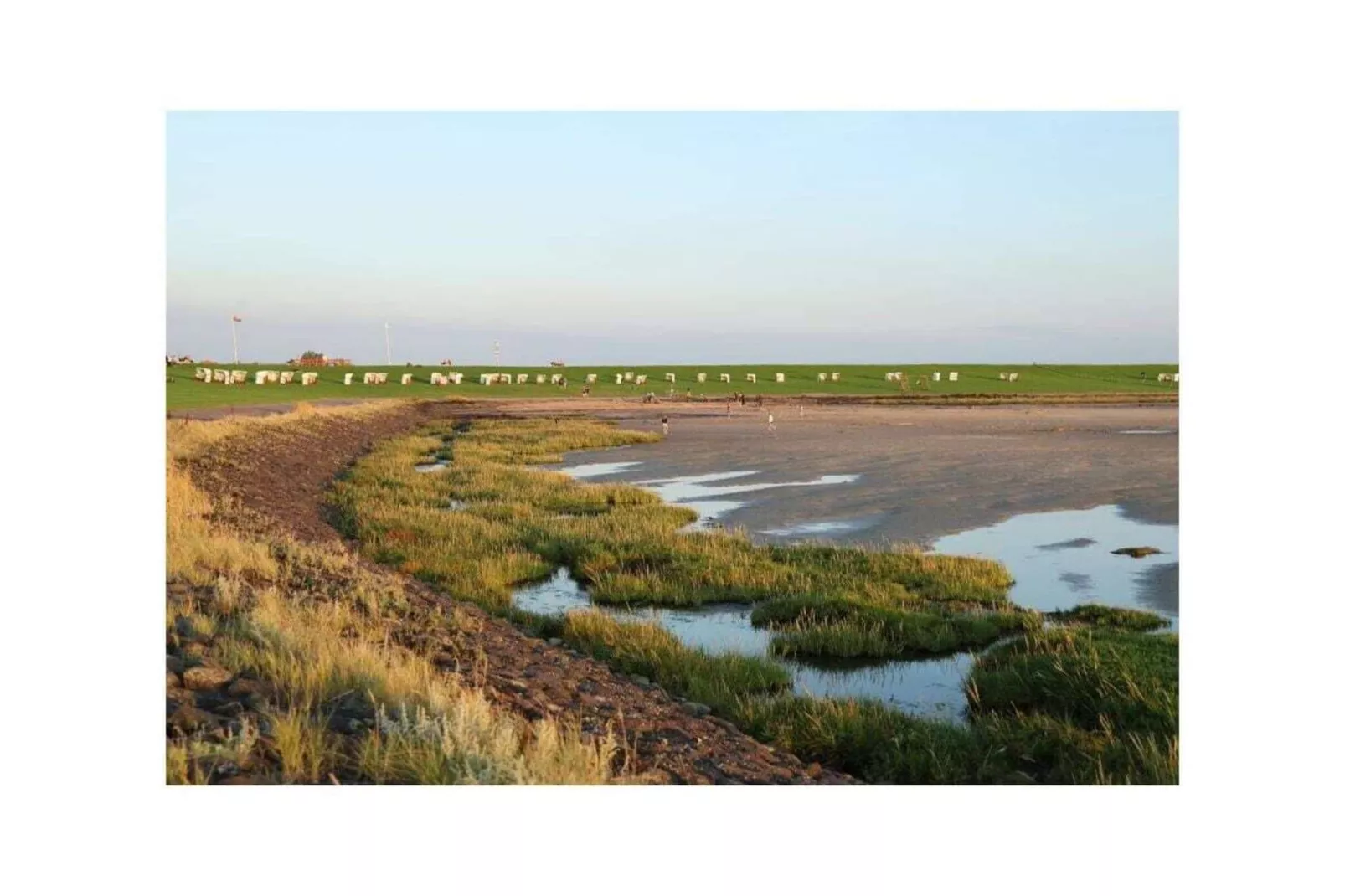 487221-Gebiete Sommer 5 km