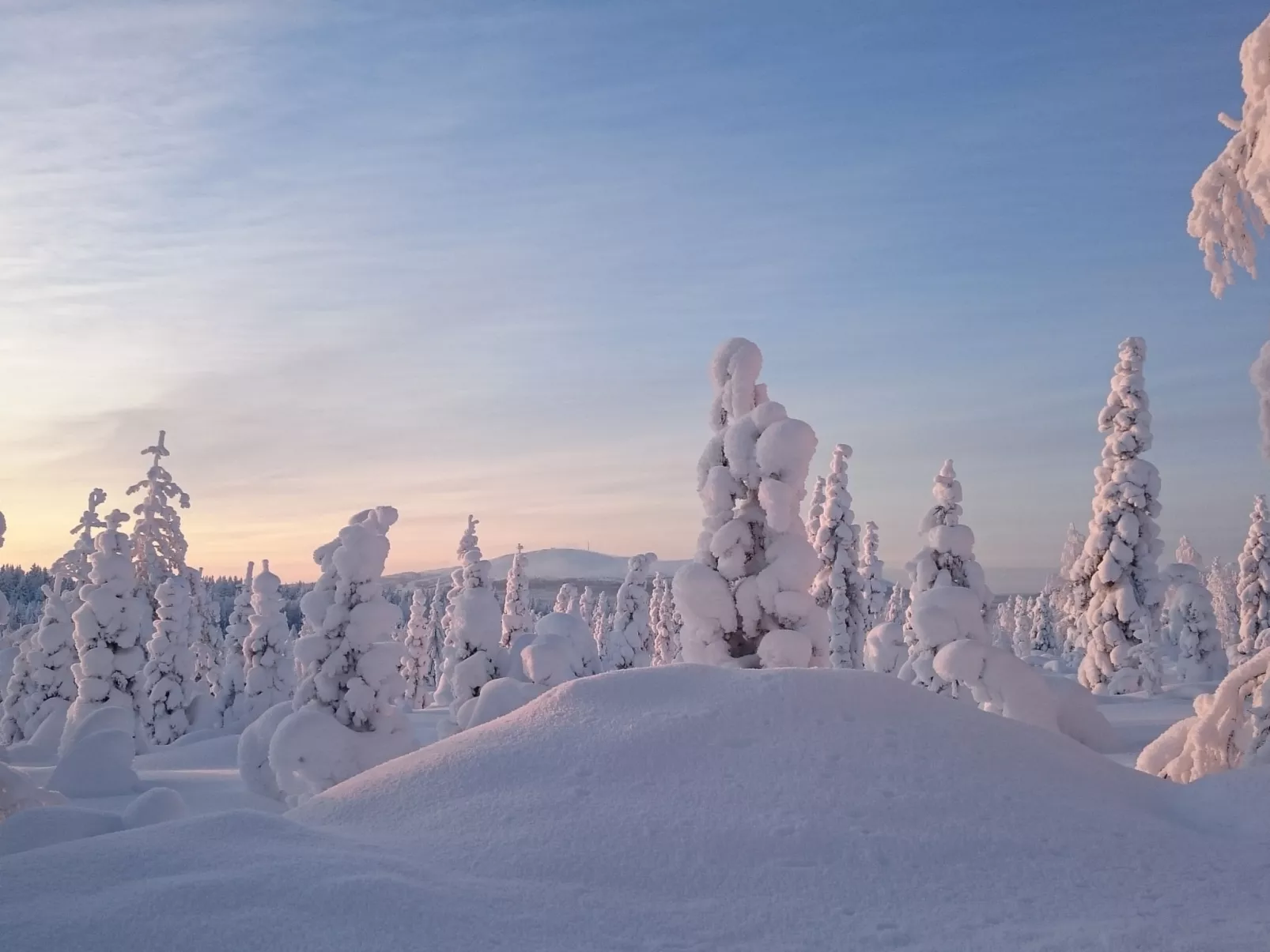 Yllästar 3 as 601-Dedans