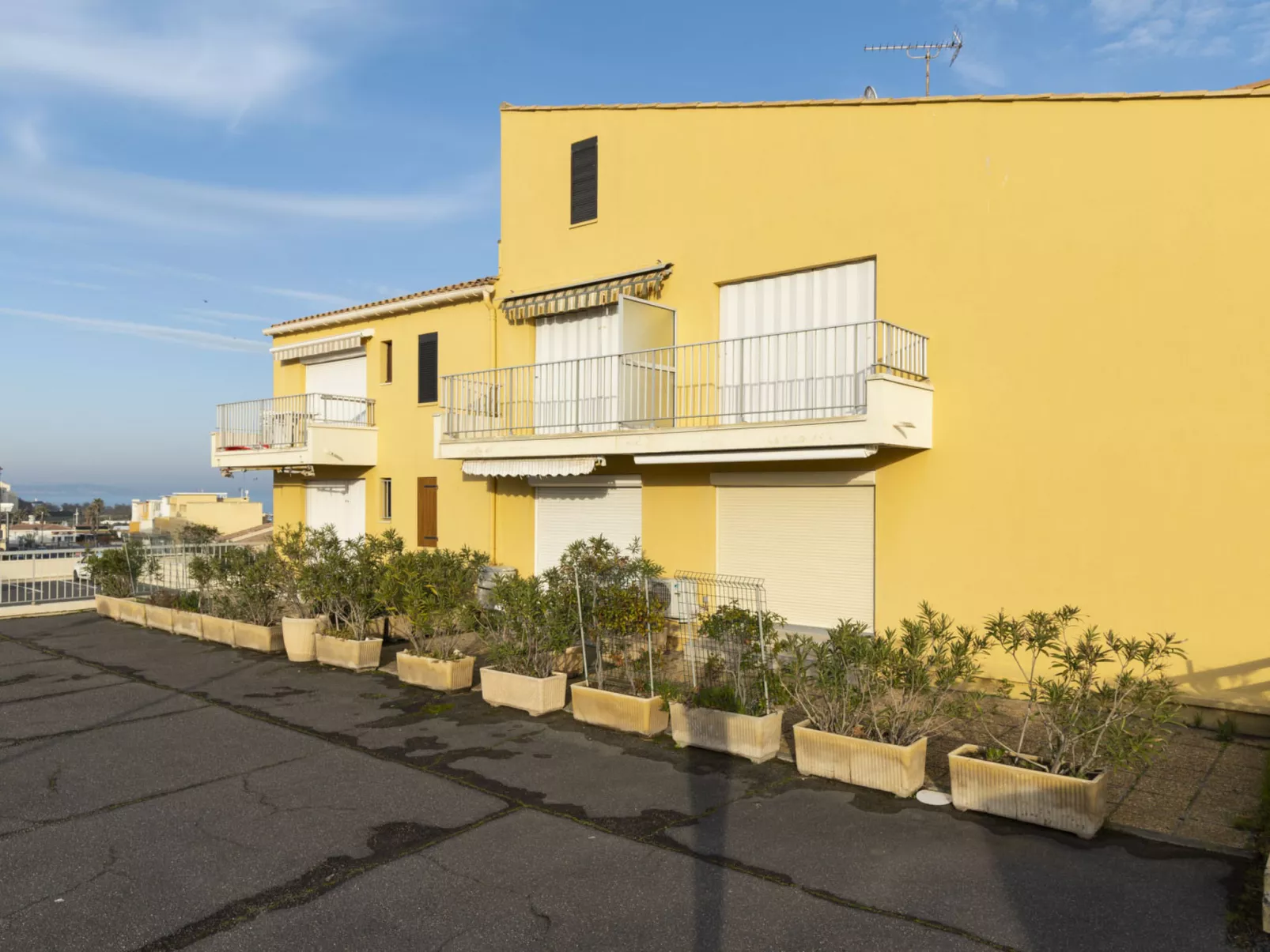 Les Indes Galantes-Draußen