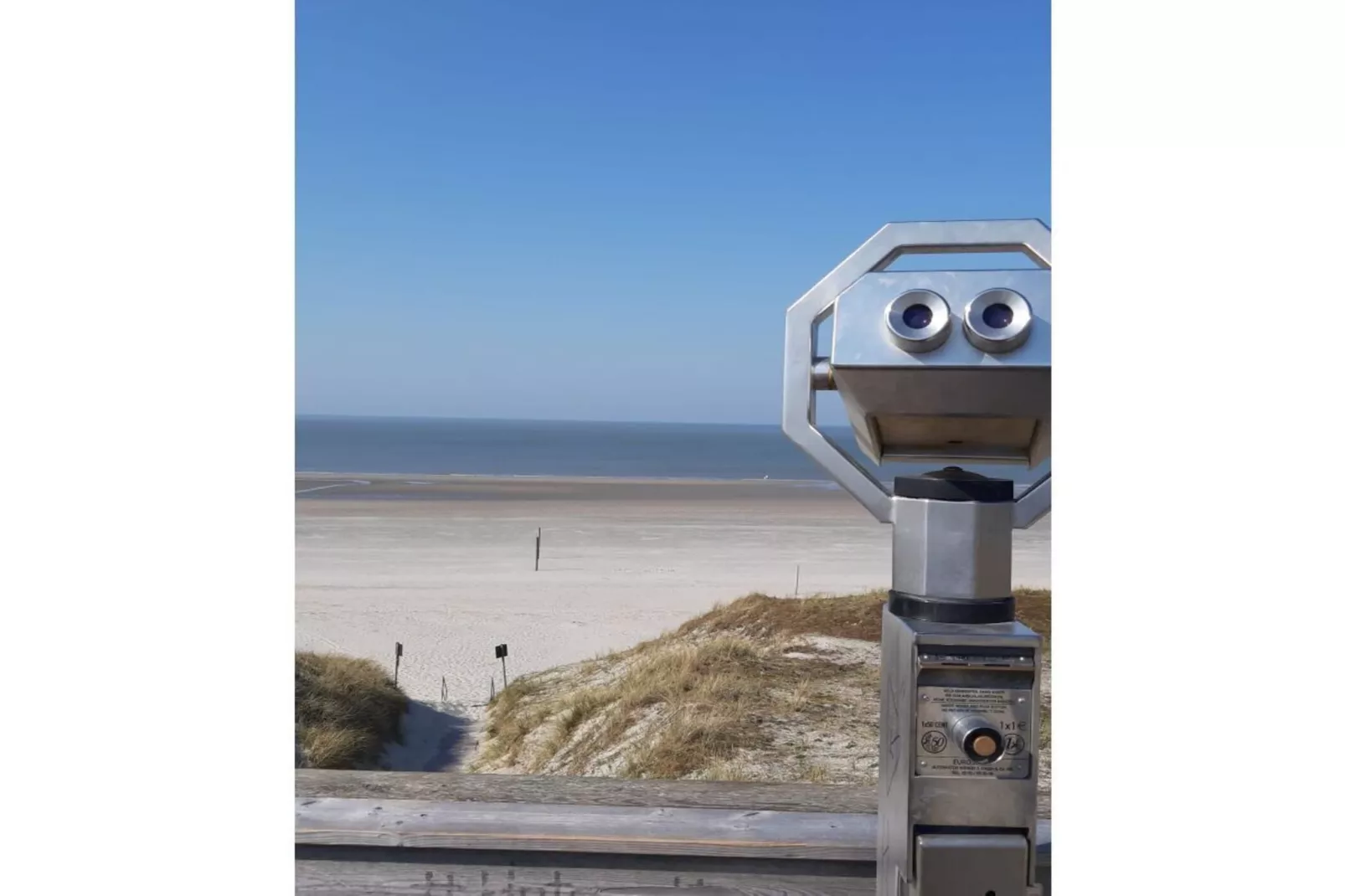 479985 - Areas within 5km in summer