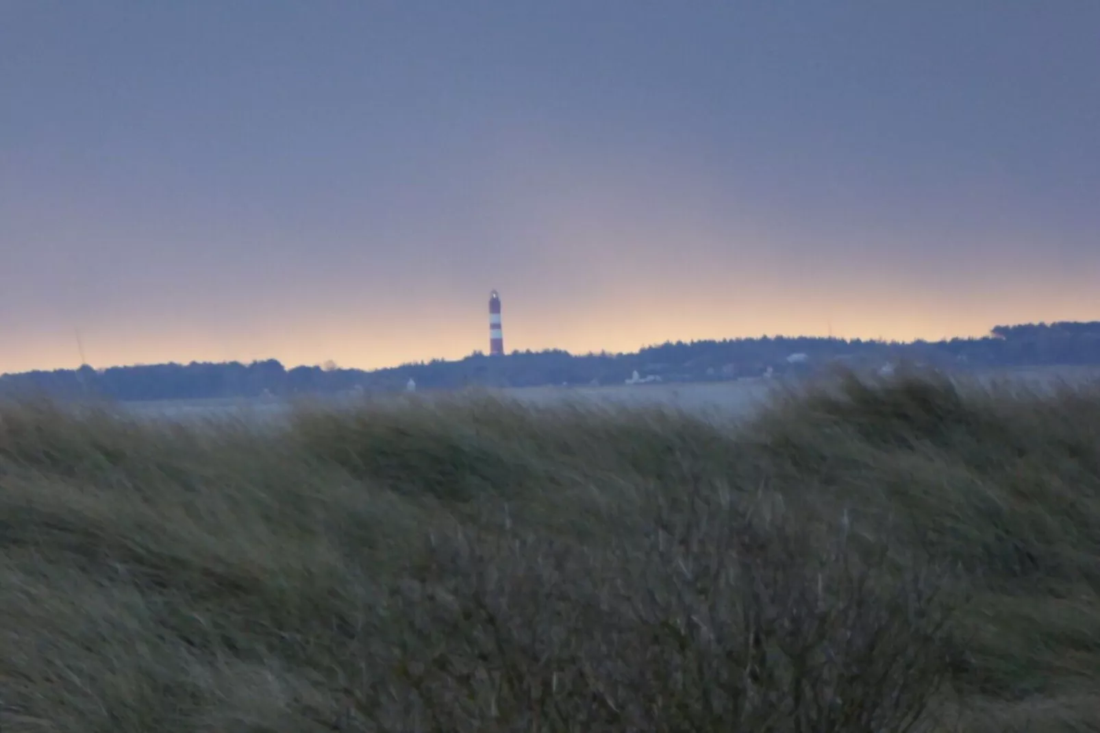 411894-Areas within 1km in summer