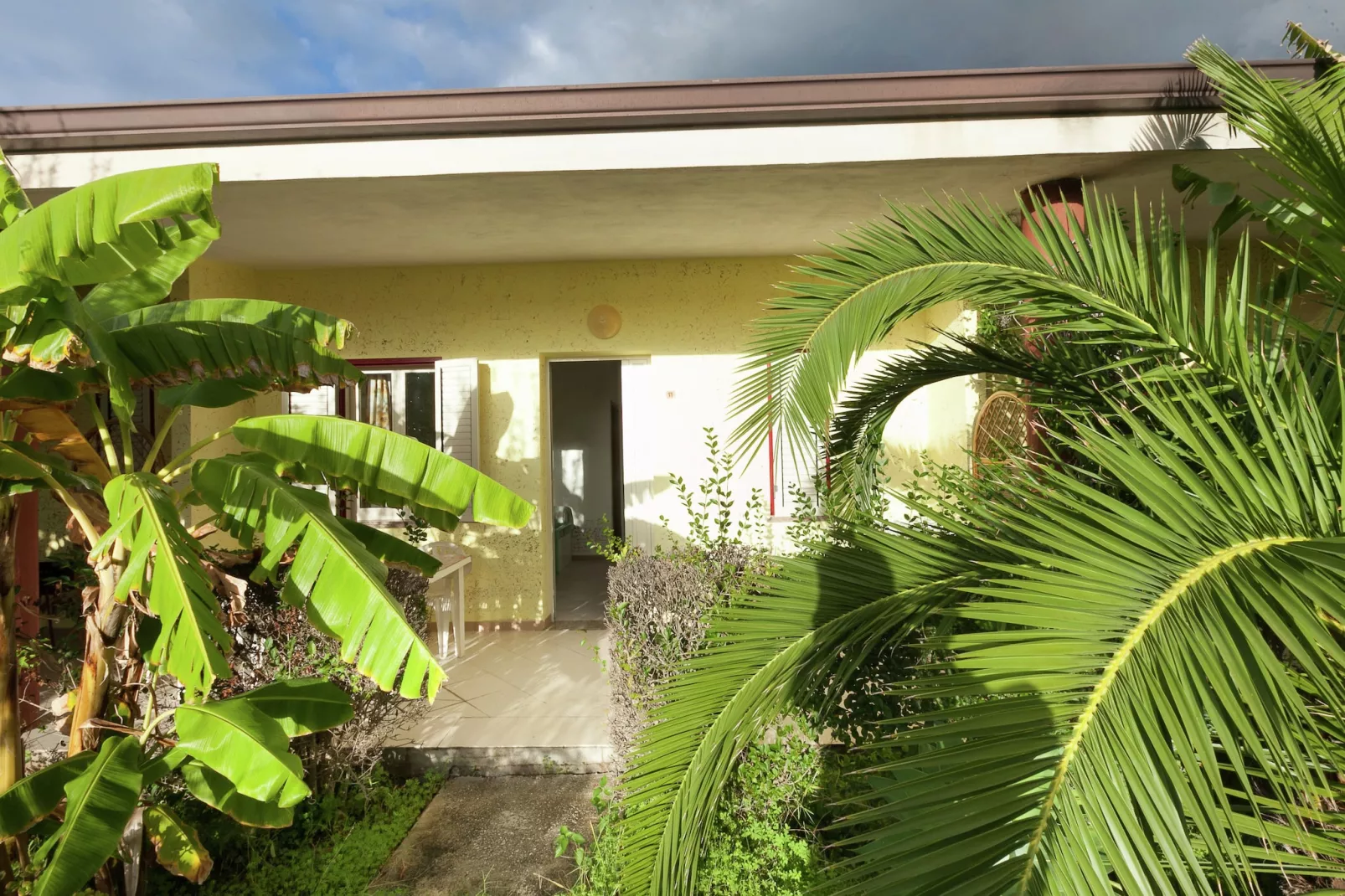 Limoncello-Extérieur été