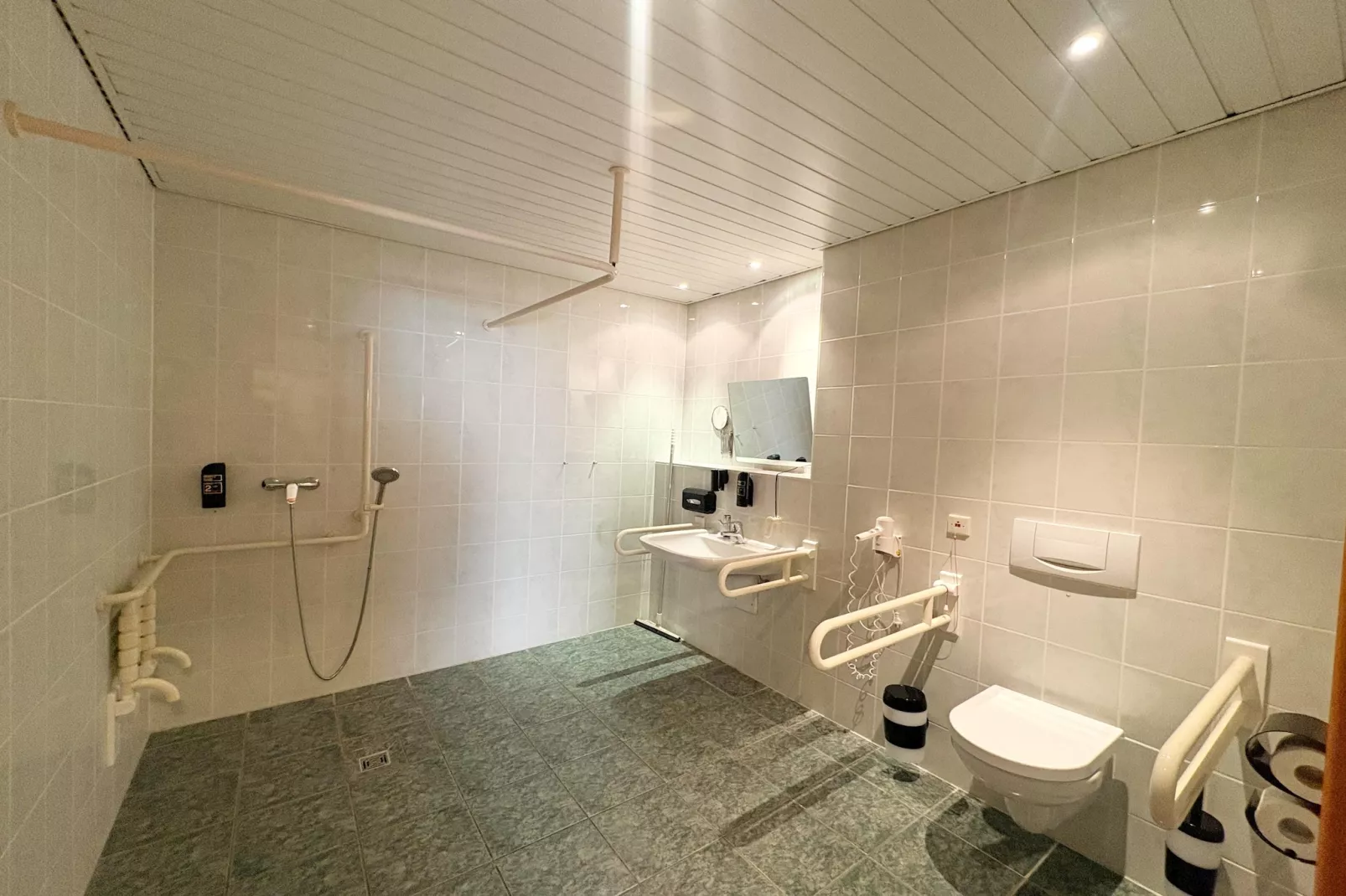 Wheelchair accessible Double Room-Salle de bain
