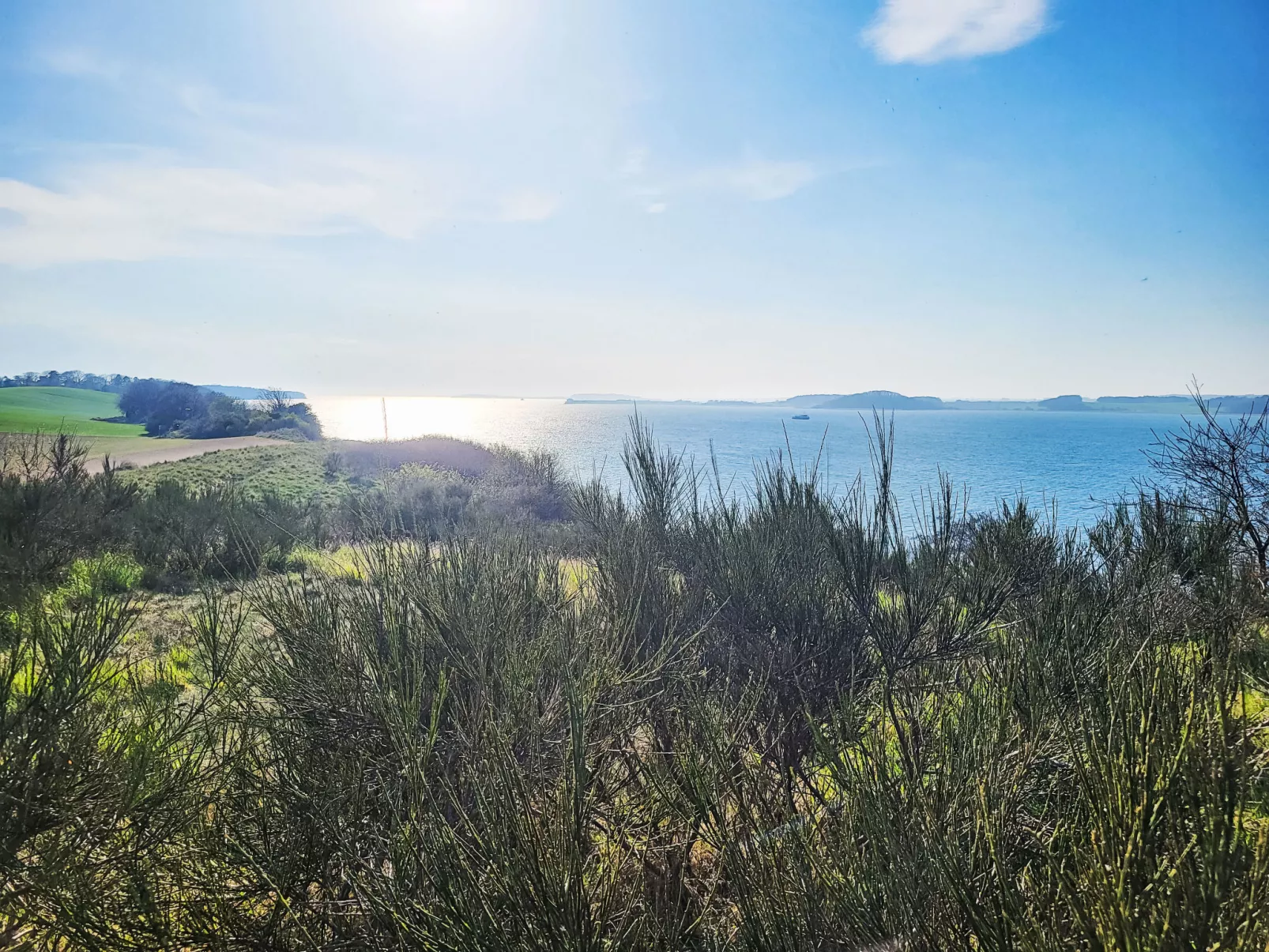 Bungalow 33-Draußen