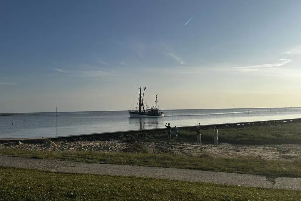 479956-Nicht zugeordnet