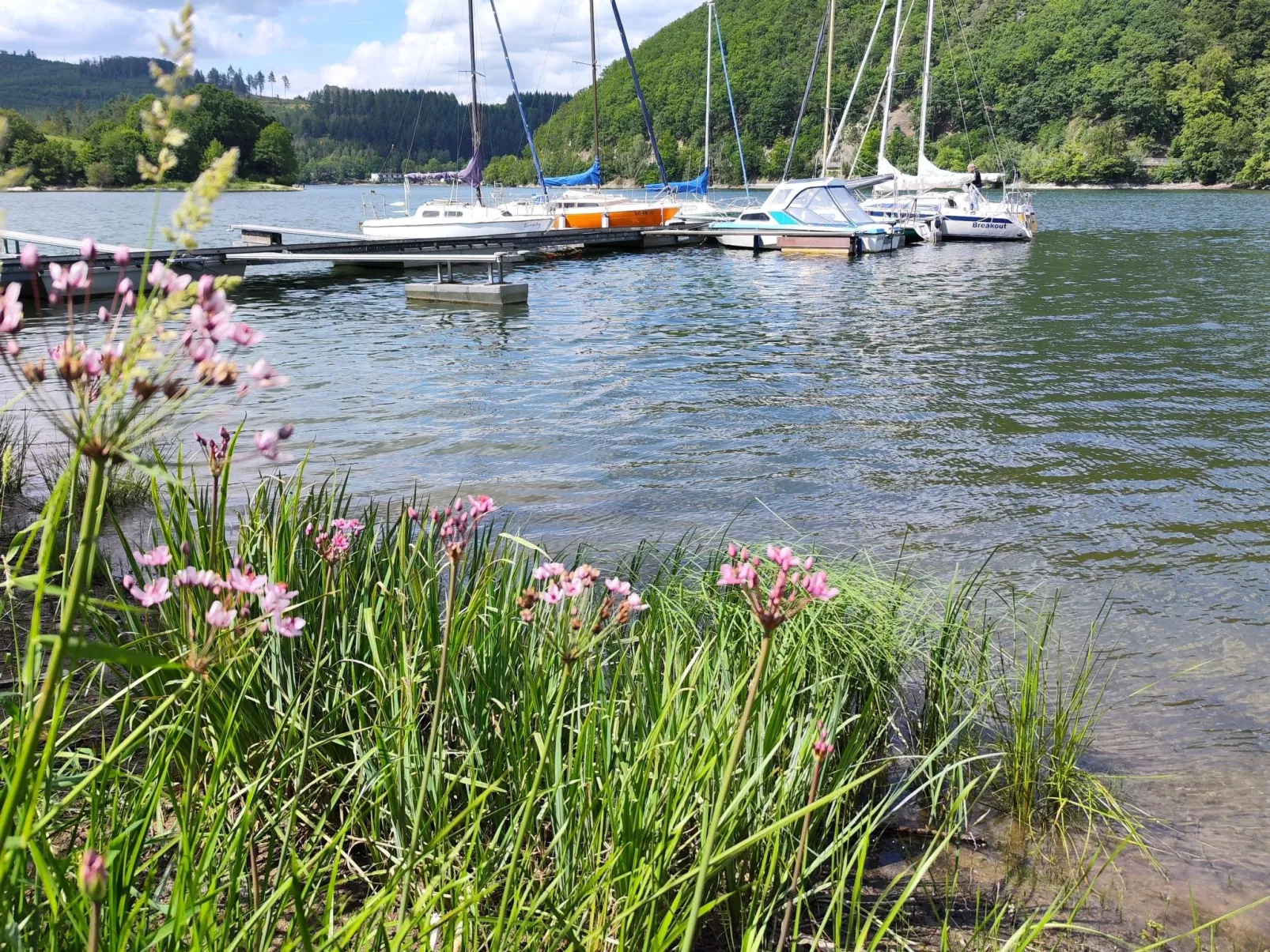 Top Ferienwohnung am Diemelsee, Sauerland Nähe Willingen Winterberg - Image-tags.info