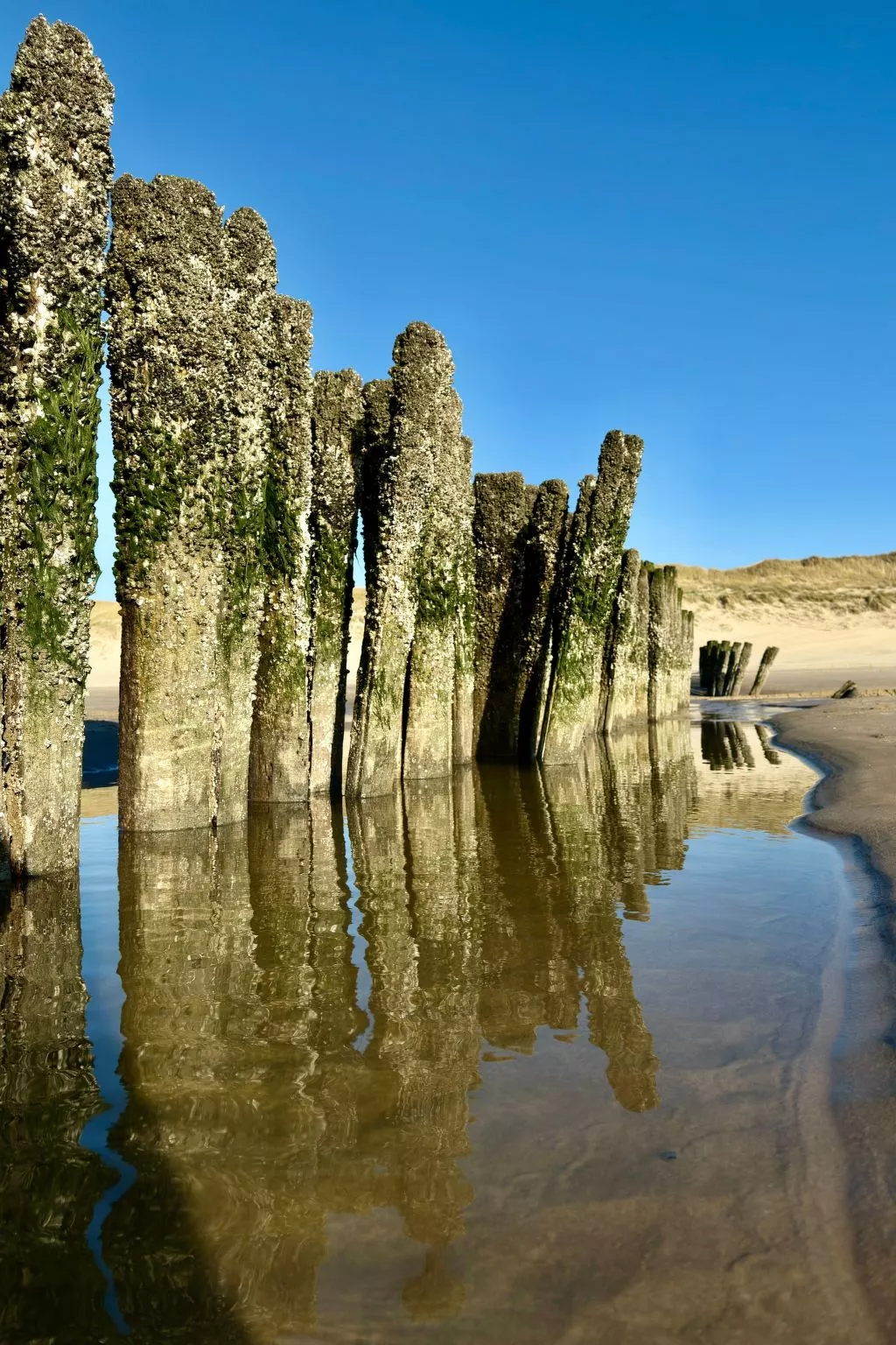 Rekerlanden 174 - Draußen