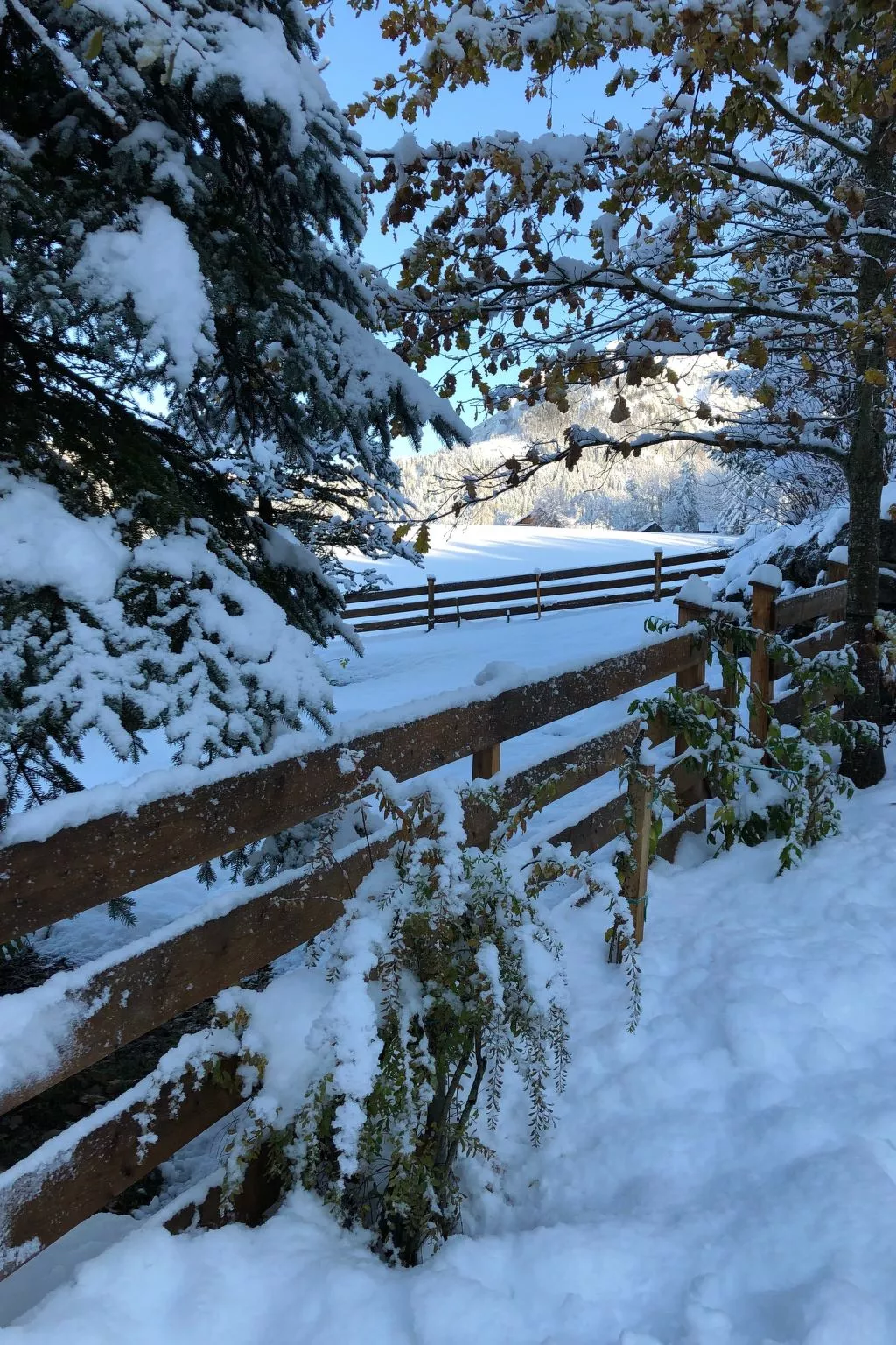 Charmante Ferienwohnung in Bad Aussee mit Grill und Garten und Bergblick - Image-tags.info