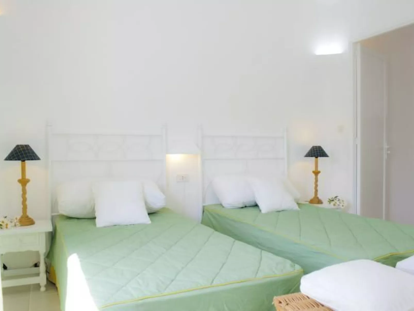 Pineda-Image-tags.info