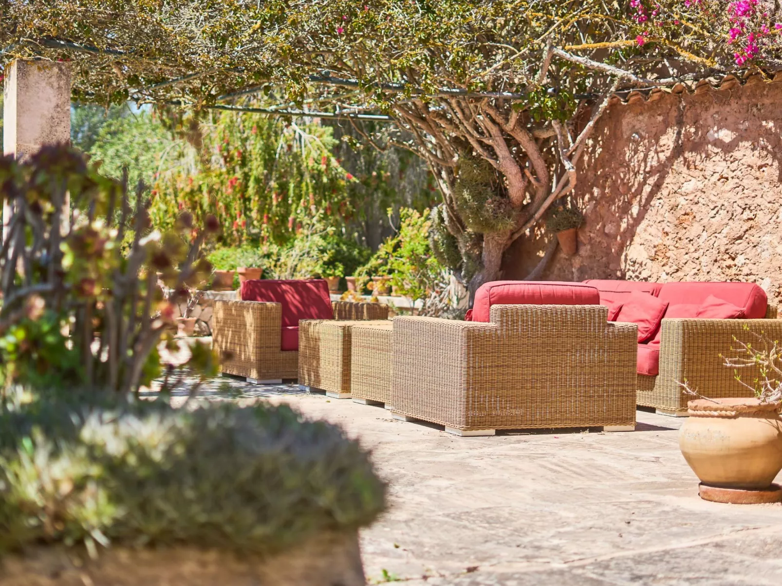 Finca Mal Ric - Dedans