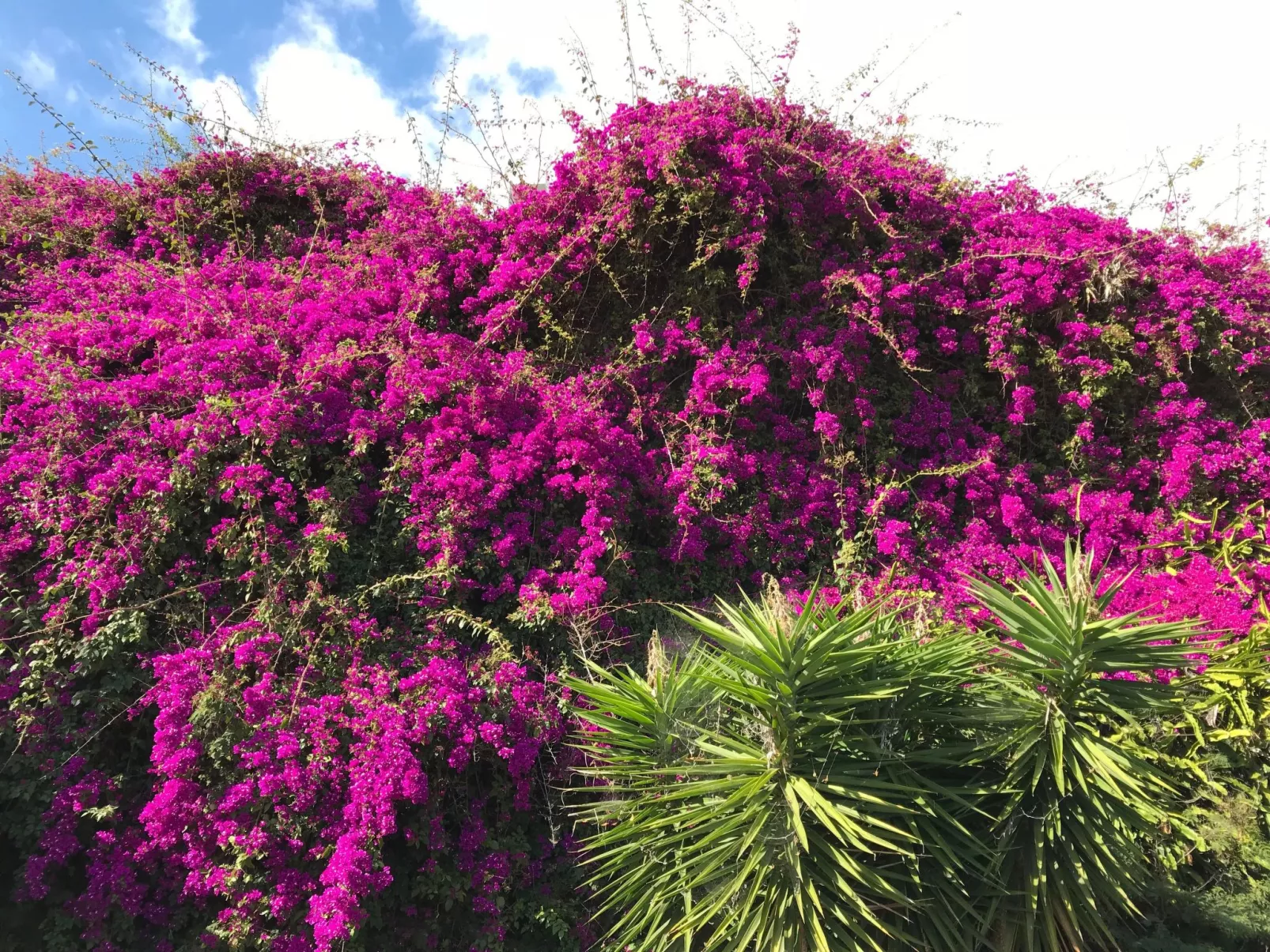 Mit Blick auf das Wasser - Image-tags.info