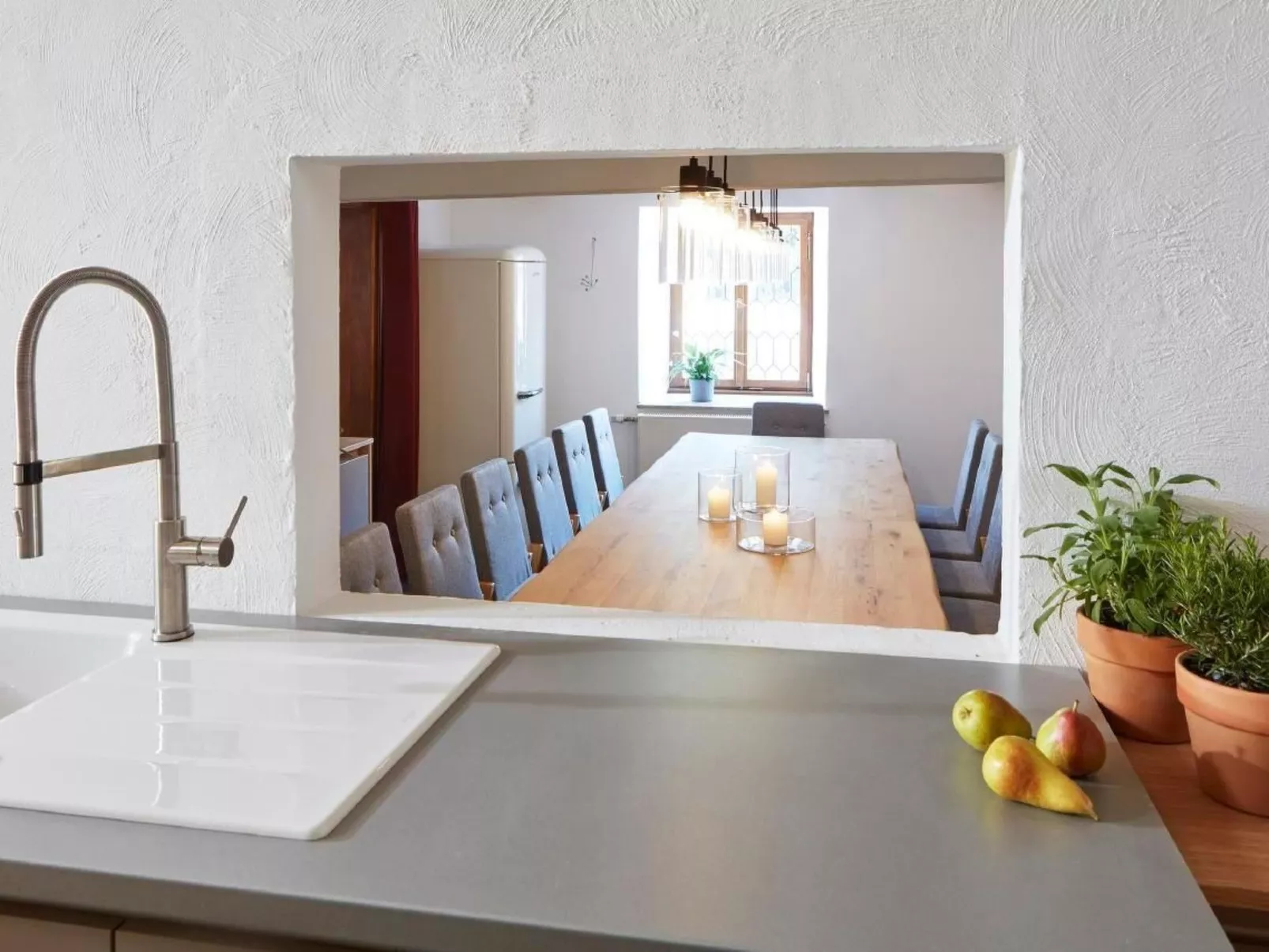 Olive Tree - Image-tags.info