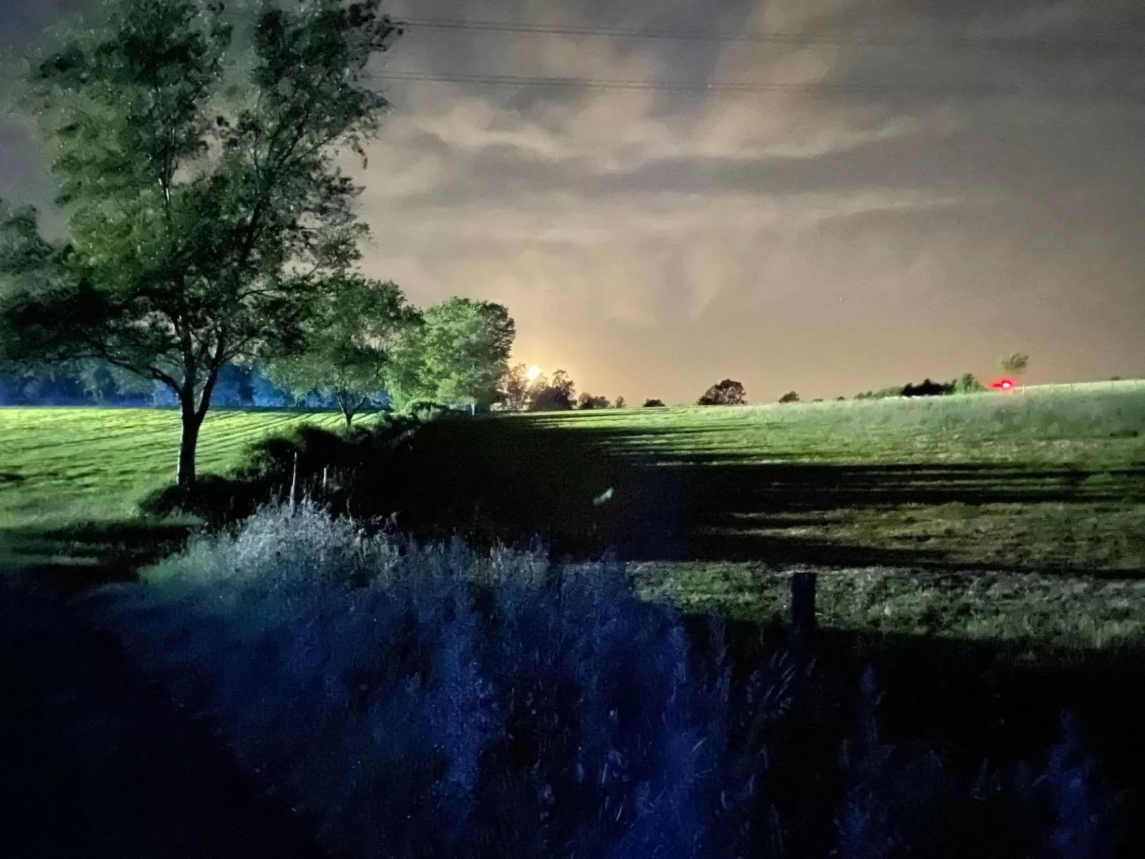 Annika-Image-tags.info